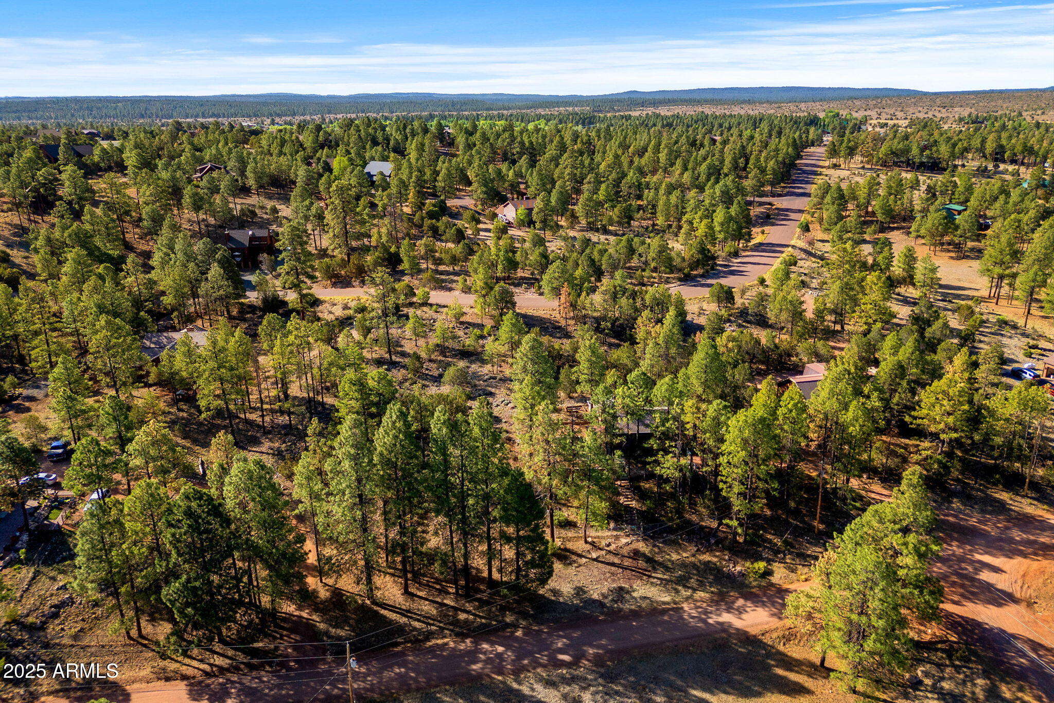 2794 Sky Hawk Drive, Unit 140 Overgaard, AZ 85933 - Photo 5 of 16
