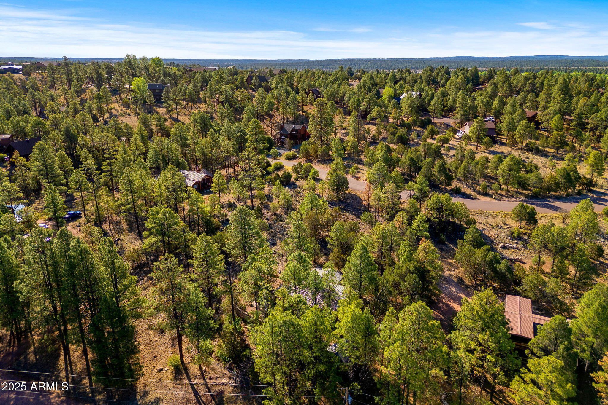 2794 Sky Hawk Drive, Unit 140 Overgaard, AZ 85933 - Photo 7 of 16 a view of an outdoor space and a lake view