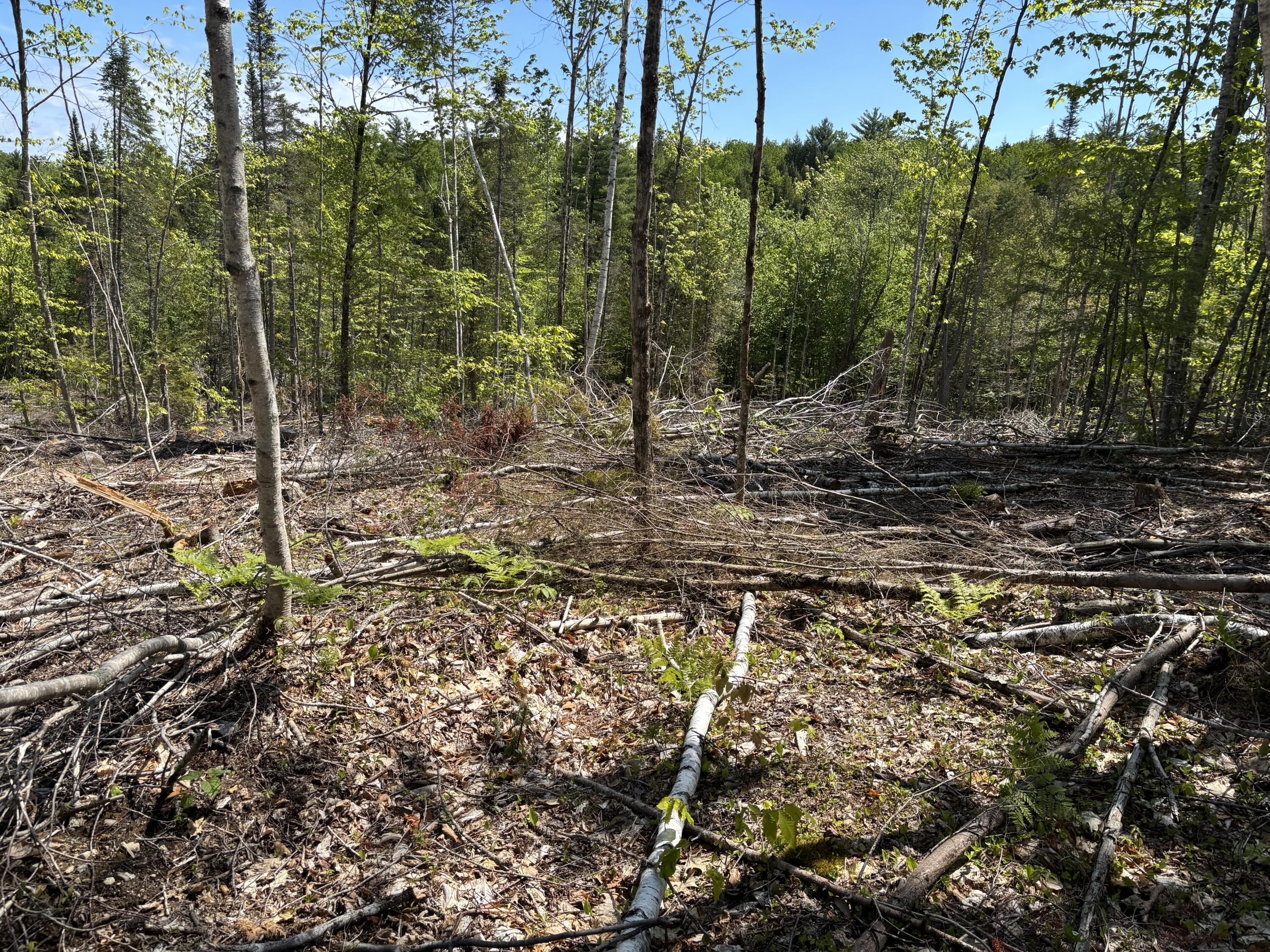 2-l 1 Off Bean Road Mercer, ME 04957 - Photo 8 of 14 IMG_2350