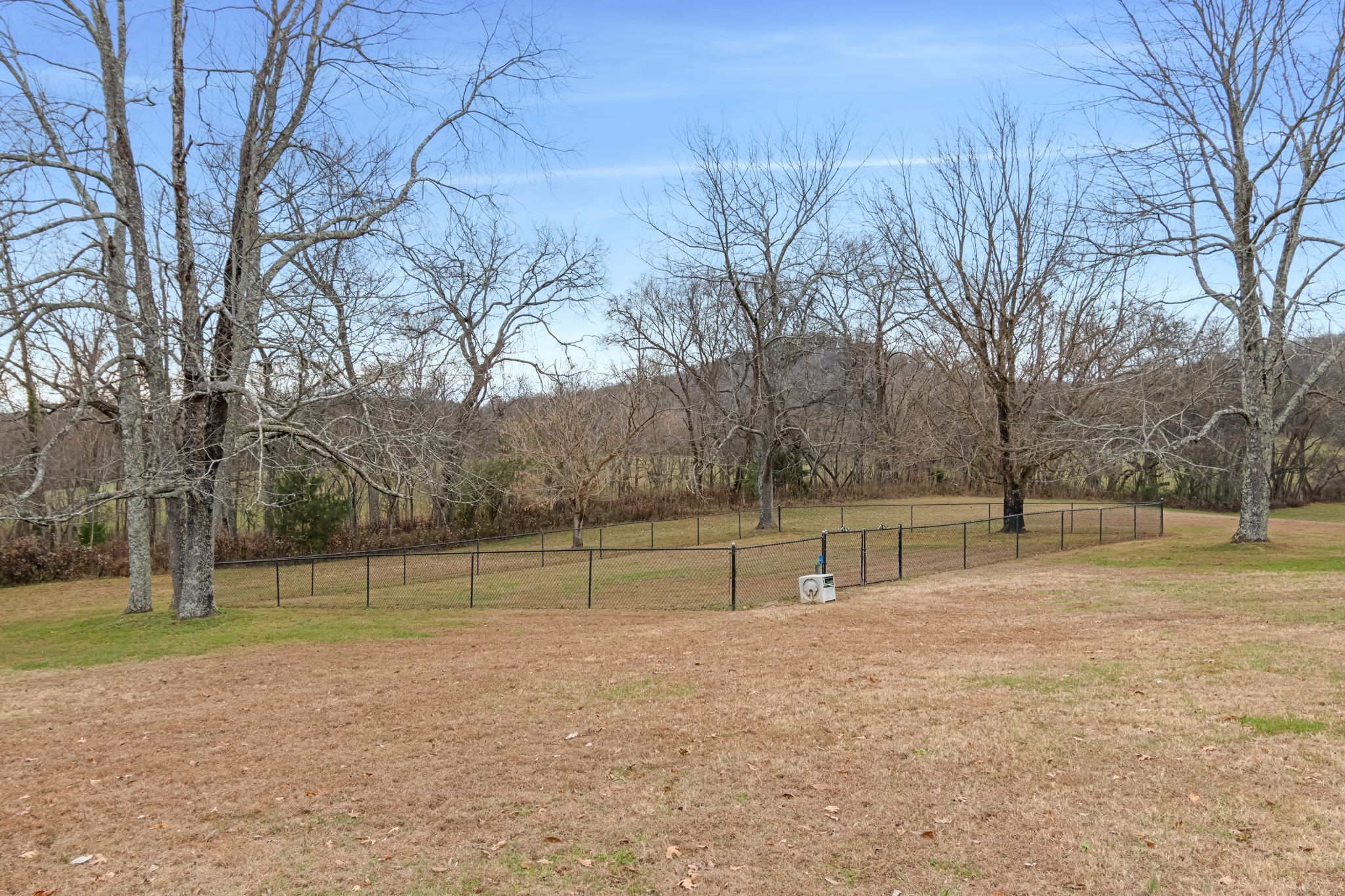 3100 Floyd Road Eagleville, TN 37060 - Photo 57 of 62 a view of backyard with large trees