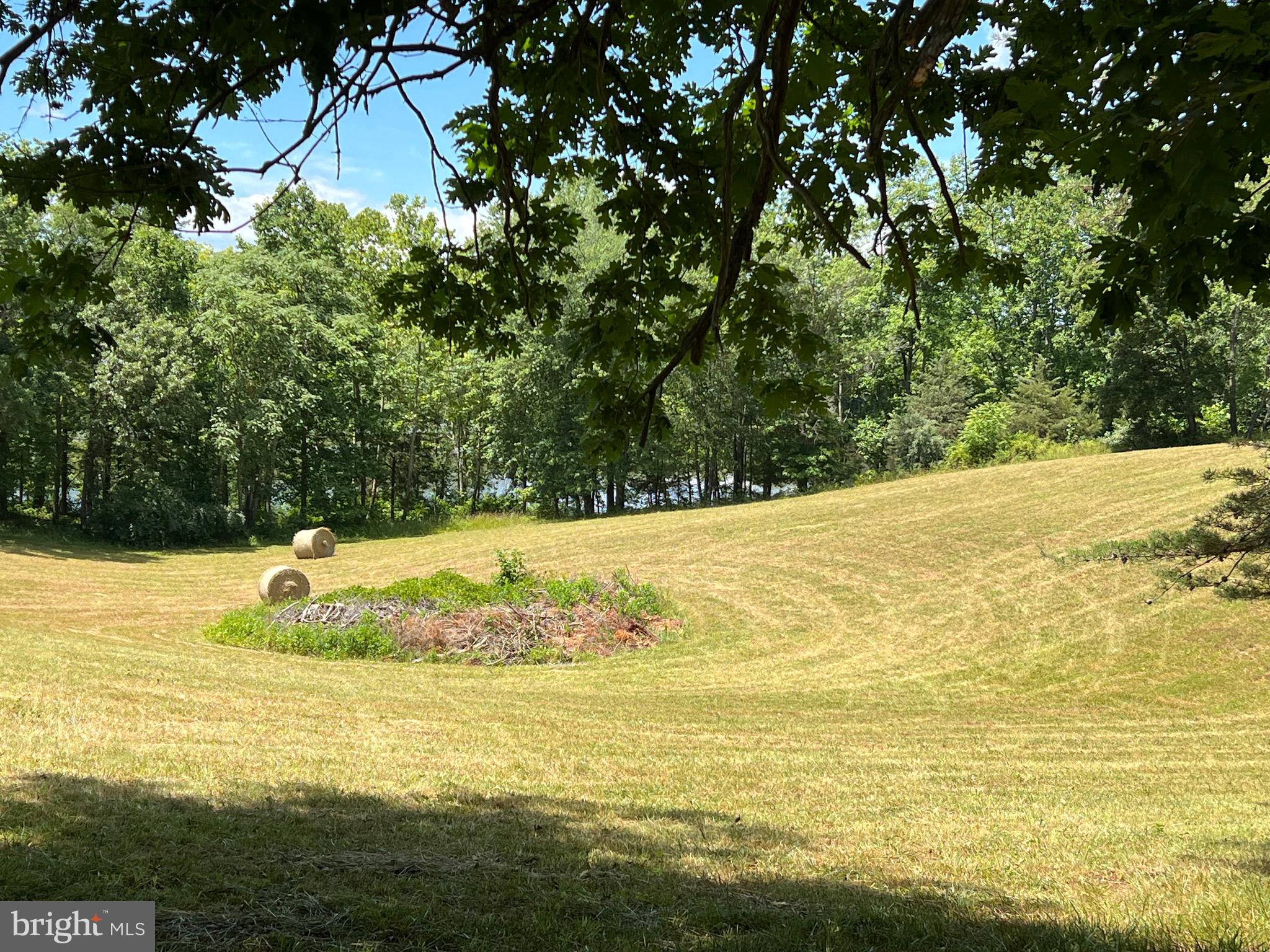 Lot 46 Whisper Hill Road Culpeper, VA 22701 - Photo 13 of 20