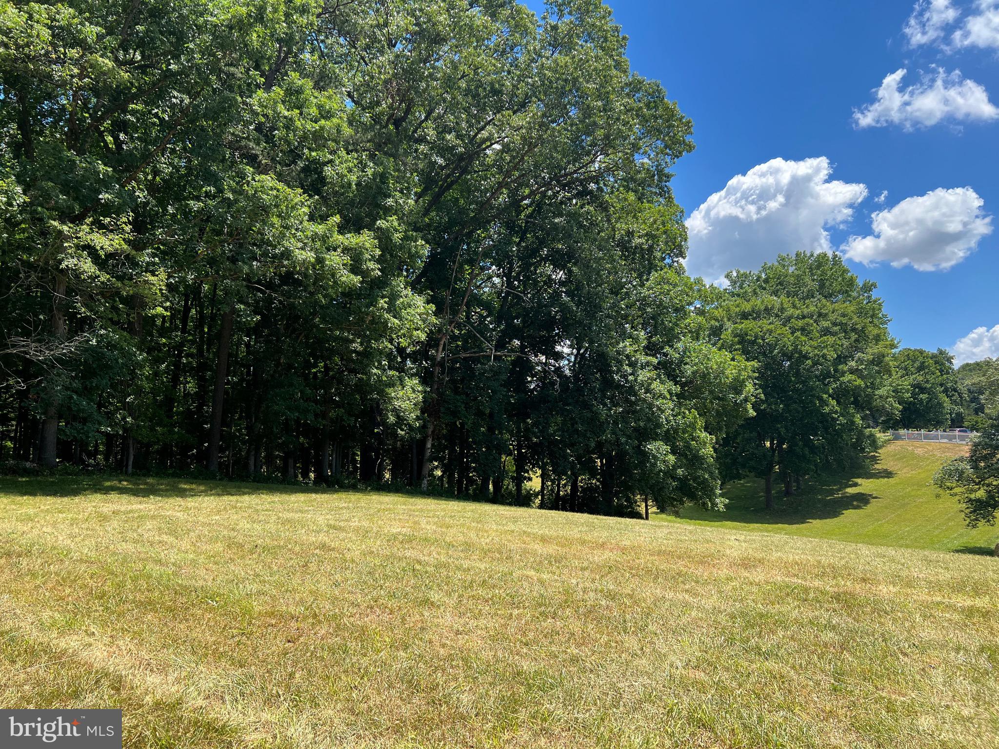 Lot 46 Whisper Hill Road Culpeper, VA 22701 - Photo 15 of 20