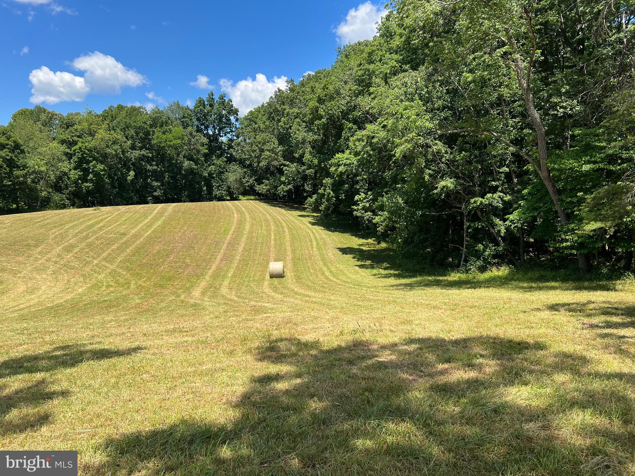 Lot 46 Whisper Hill Road Culpeper, VA 22701 - Photo 16 of 20