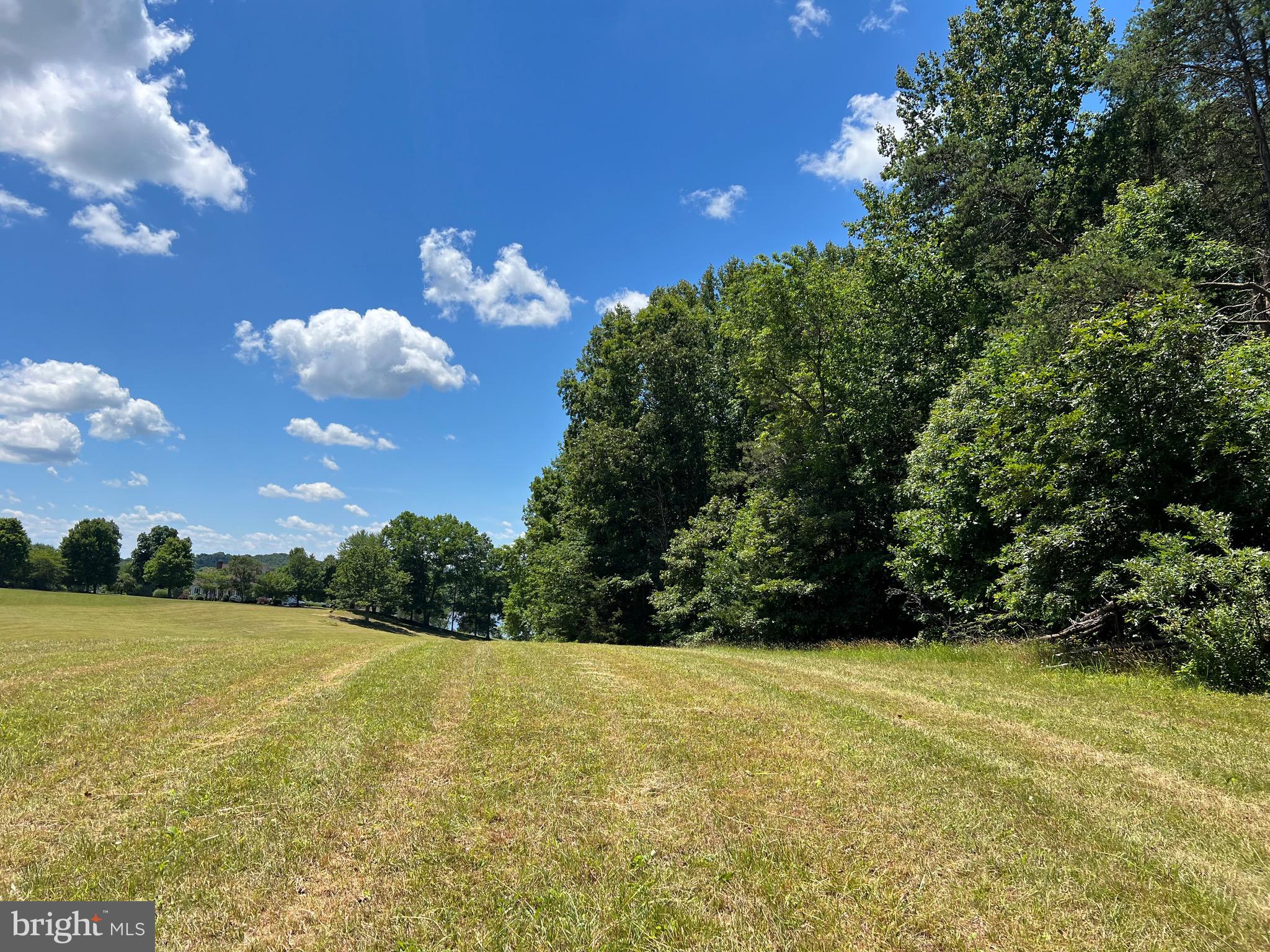 Lot 46 Whisper Hill Road Culpeper, VA 22701 - Photo 6 of 20