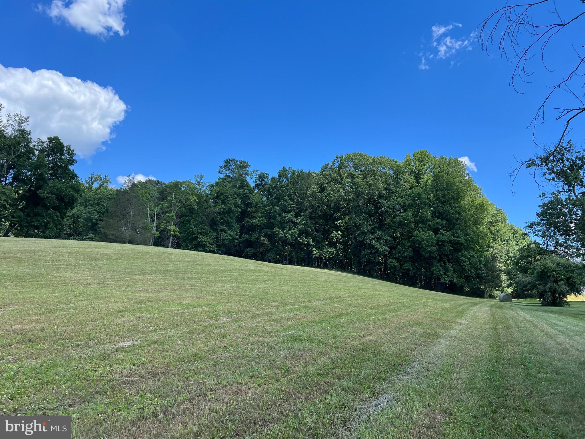 Lot 46 Whisper Hill Road Culpeper, VA 22701 - Photo 7 of 20