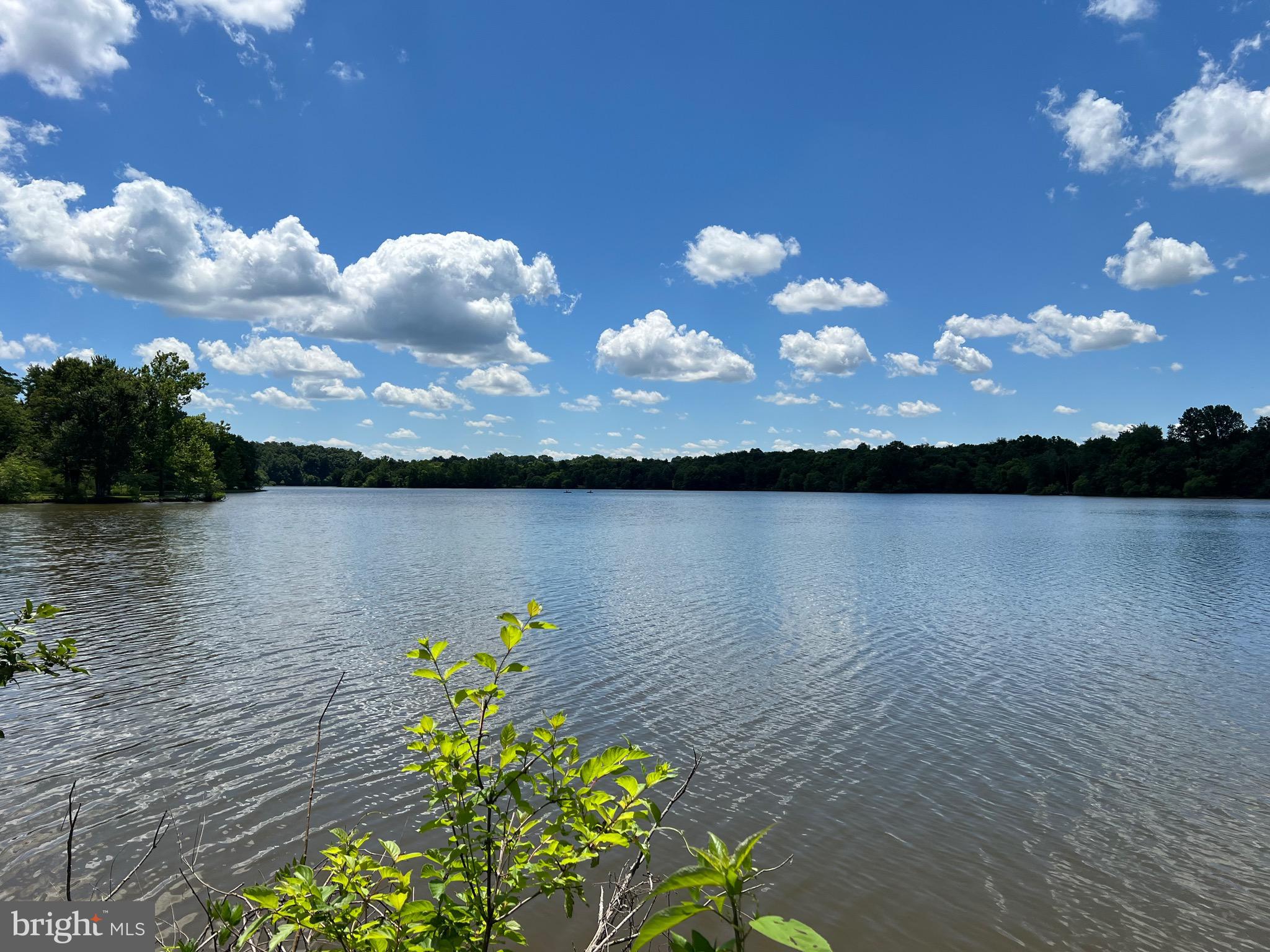 Lot 46 Whisper Hill Road Culpeper, VA 22701 - Photo 8 of 20