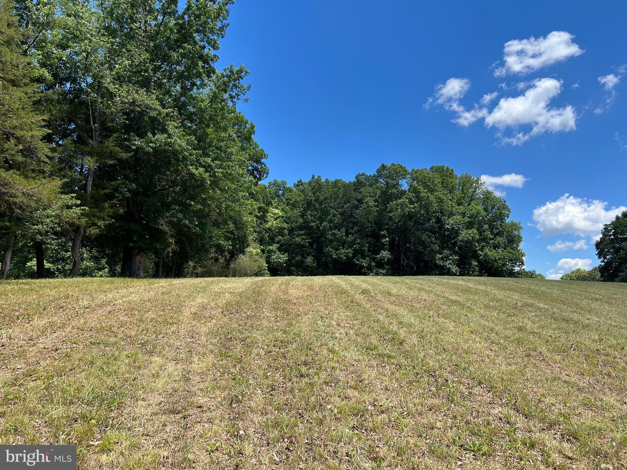 Lot 46 Whisper Hill Road Culpeper, VA 22701 - Photo 10 of 20