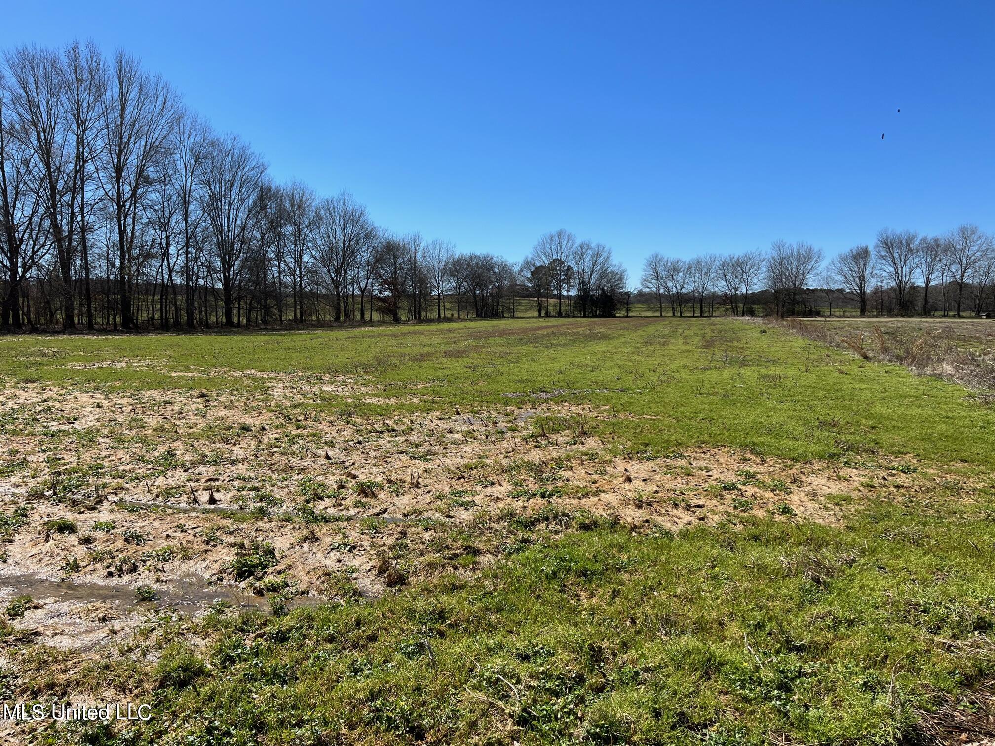 0 West Reid Road Canton, MS 39046 - Photo 3 of 5 IMG_1394