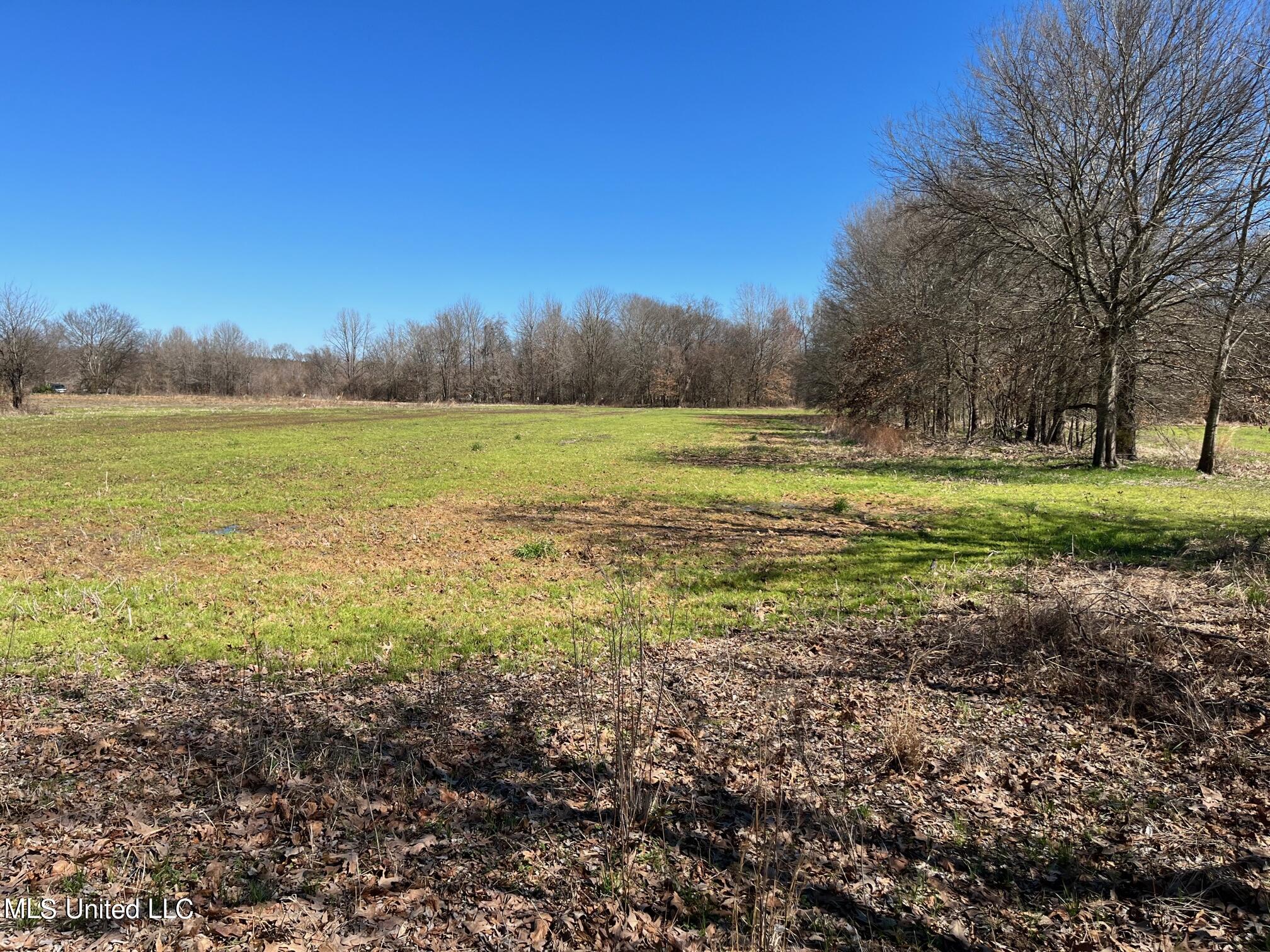 0 West Reid Road Canton, MS 39046 - Photo 4 of 5 IMG_1393
