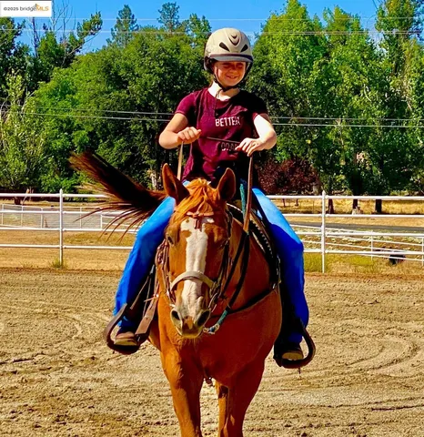 a street sign that is on a pole