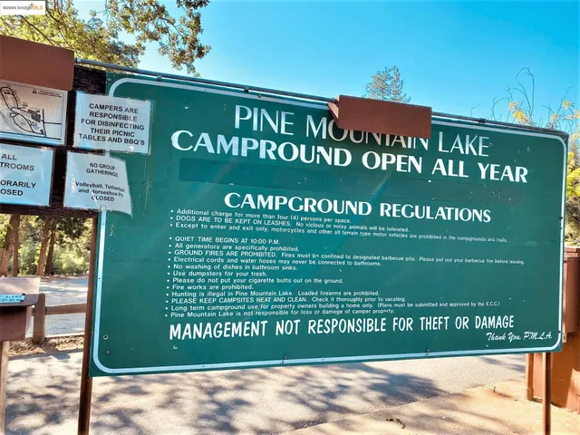 a close up of a plant in a garden