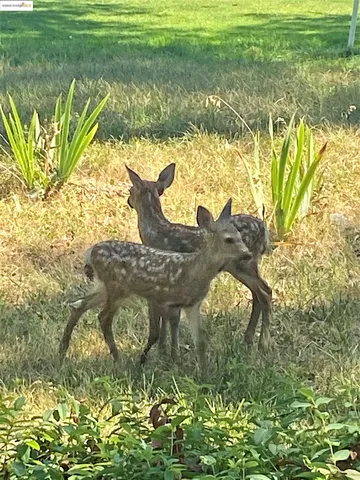 $399,000 | 19440 Chaffee Circle, Groveland, CA 95321