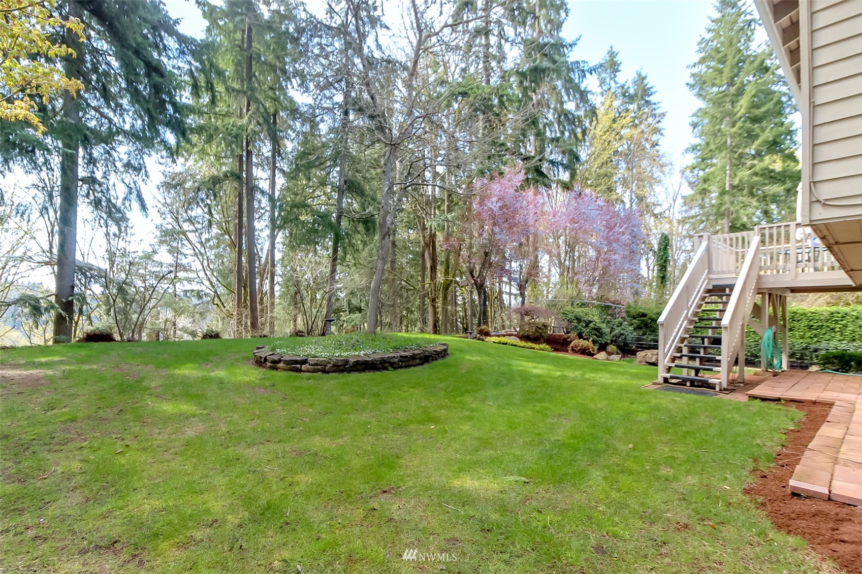 15007 Southeast 145th Place Renton, WA 98059 - Photo 25 of 34 a view of a park with large trees