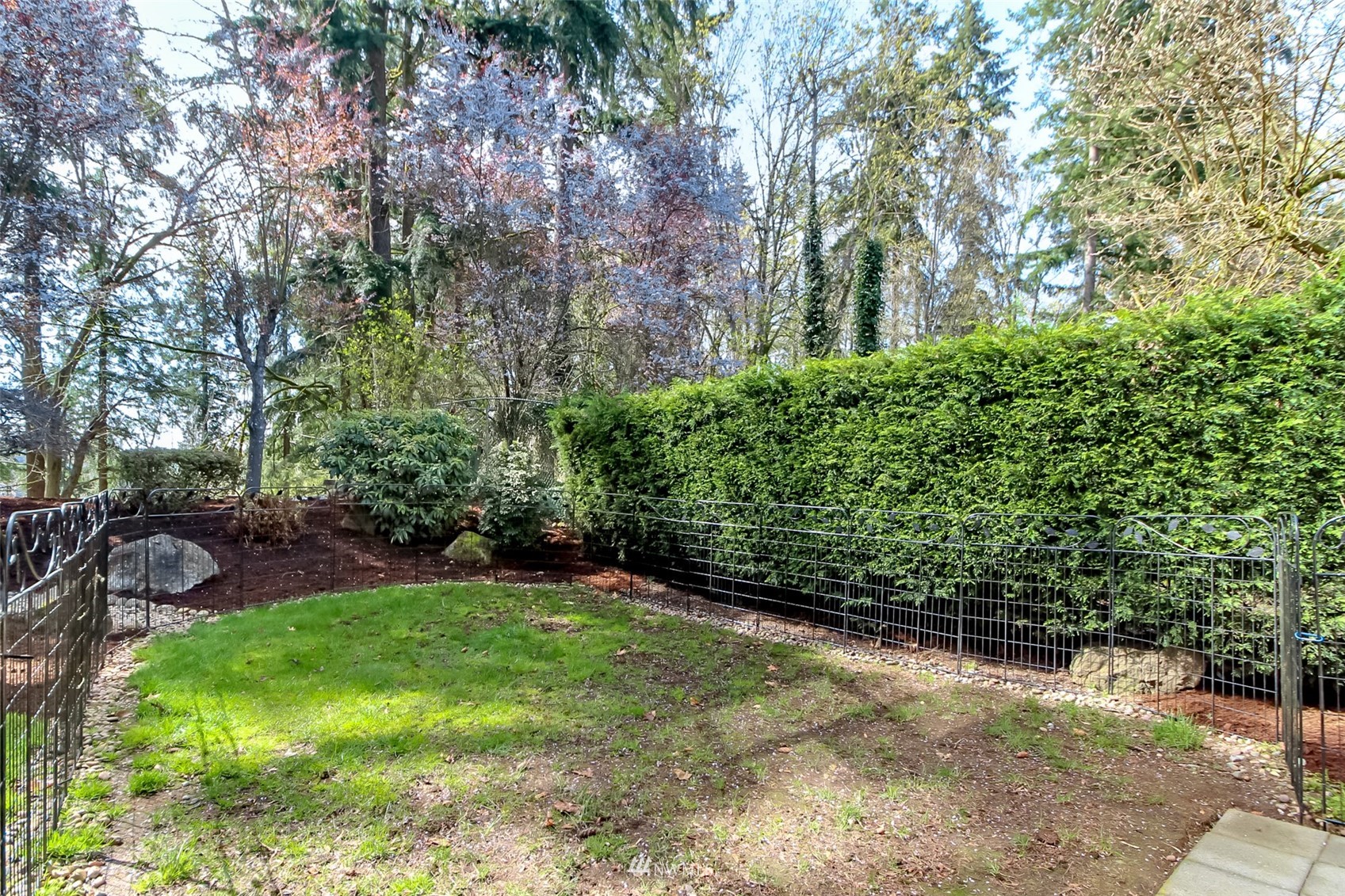 15007 Southeast 145th Place Renton, WA 98059 - Photo 26 of 34 a view of a yard with plants and trees