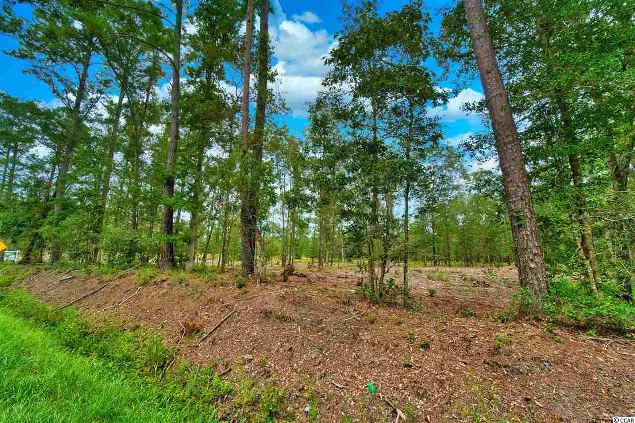 19 Loris Sc 29569 Loris, SC 29569 - Photo 2 of 27 Gallery Image 2