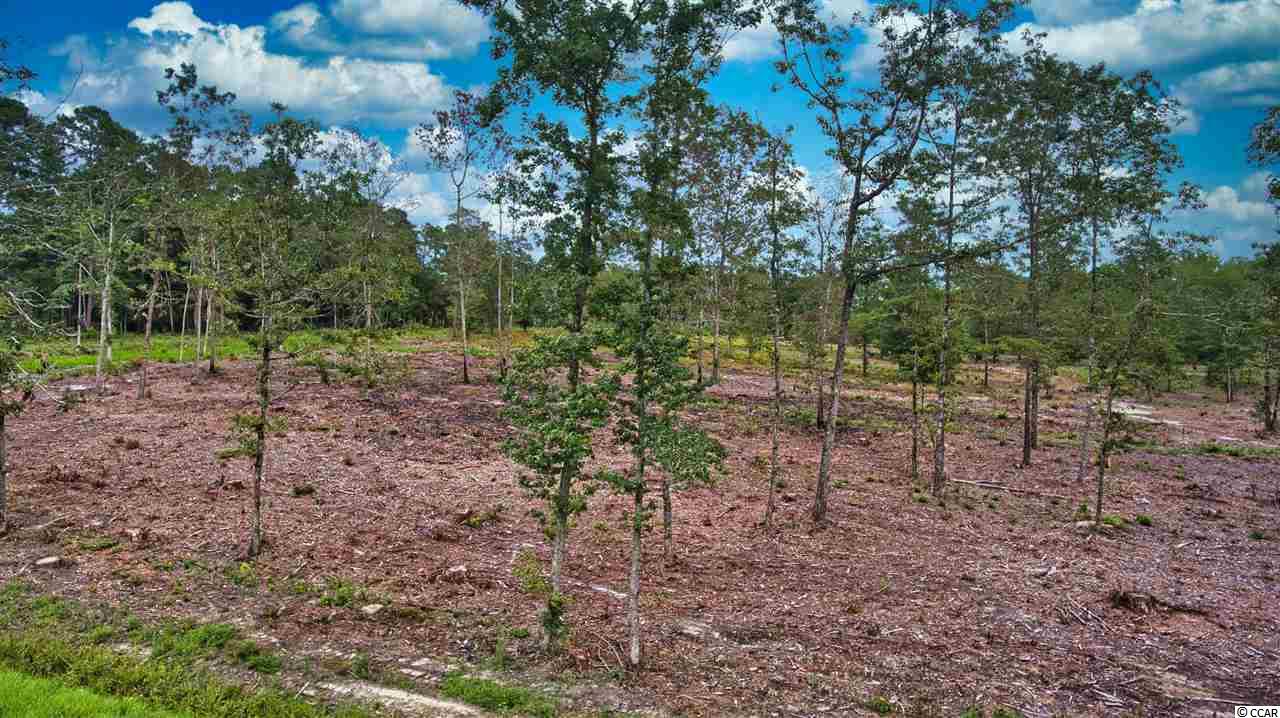 19 Loris Sc 29569 Loris, SC 29569 - Photo 19 of 27 Gallery Image 19