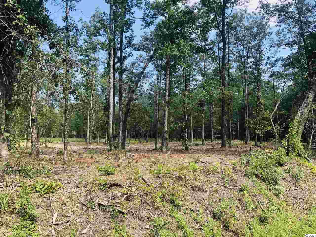 19 Loris Sc 29569 Loris, SC 29569 - Photo 5 of 27 Gallery Image 5