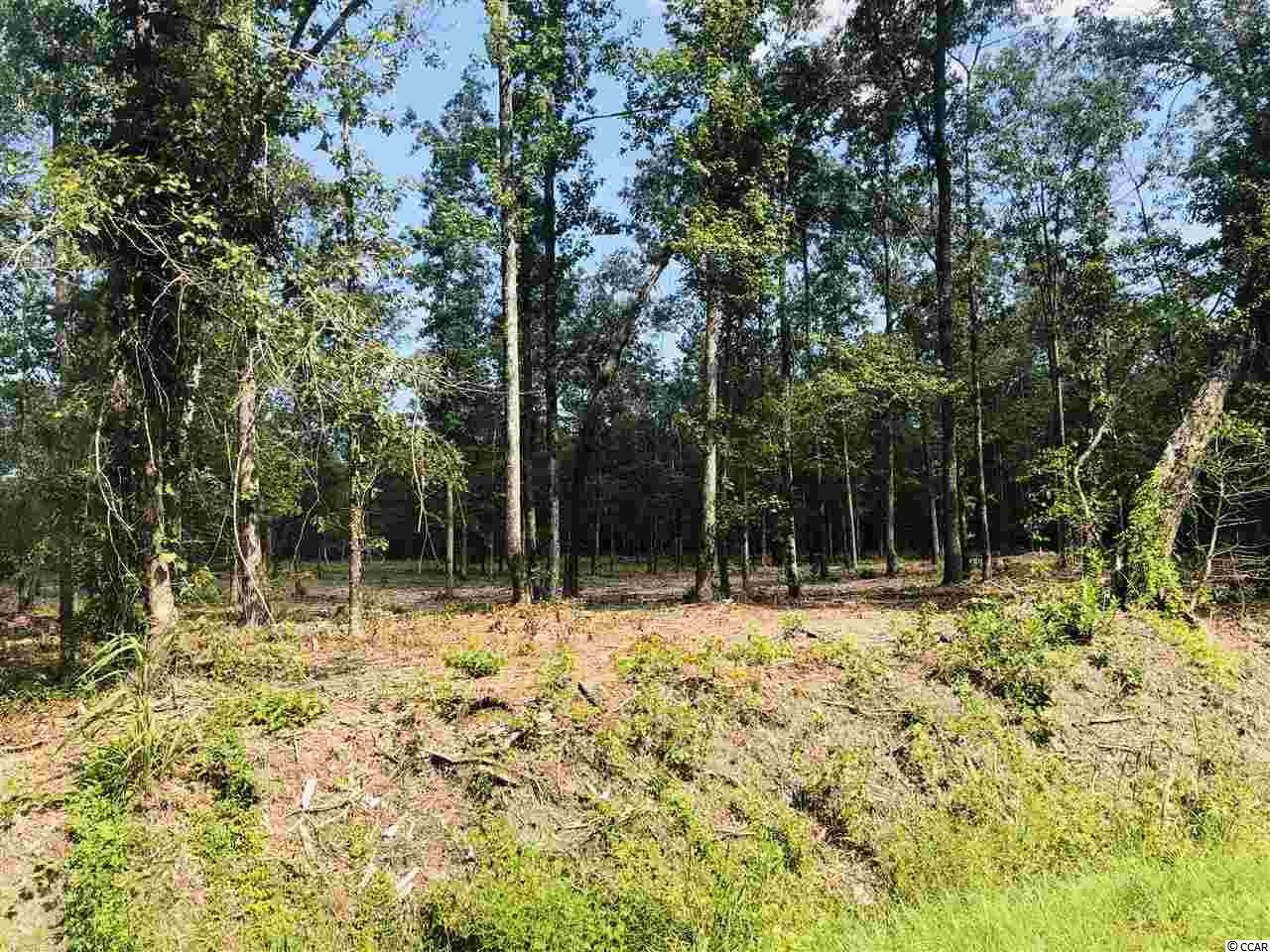 19 Loris Sc 29569 Loris, SC 29569 - Photo 7 of 27 Gallery Image 7