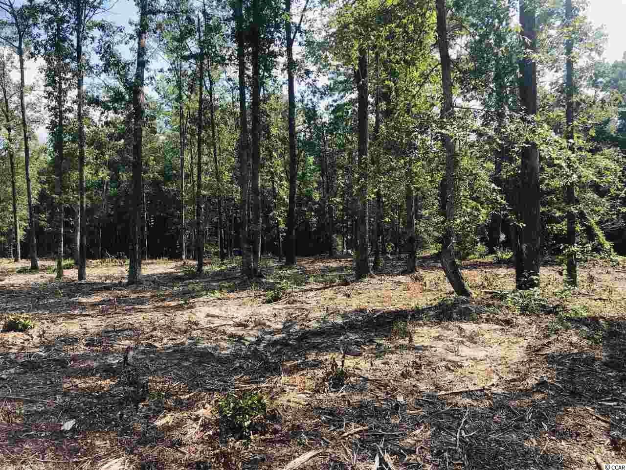 19 Loris Sc 29569 Loris, SC 29569 - Photo 9 of 27 Gallery Image 9
