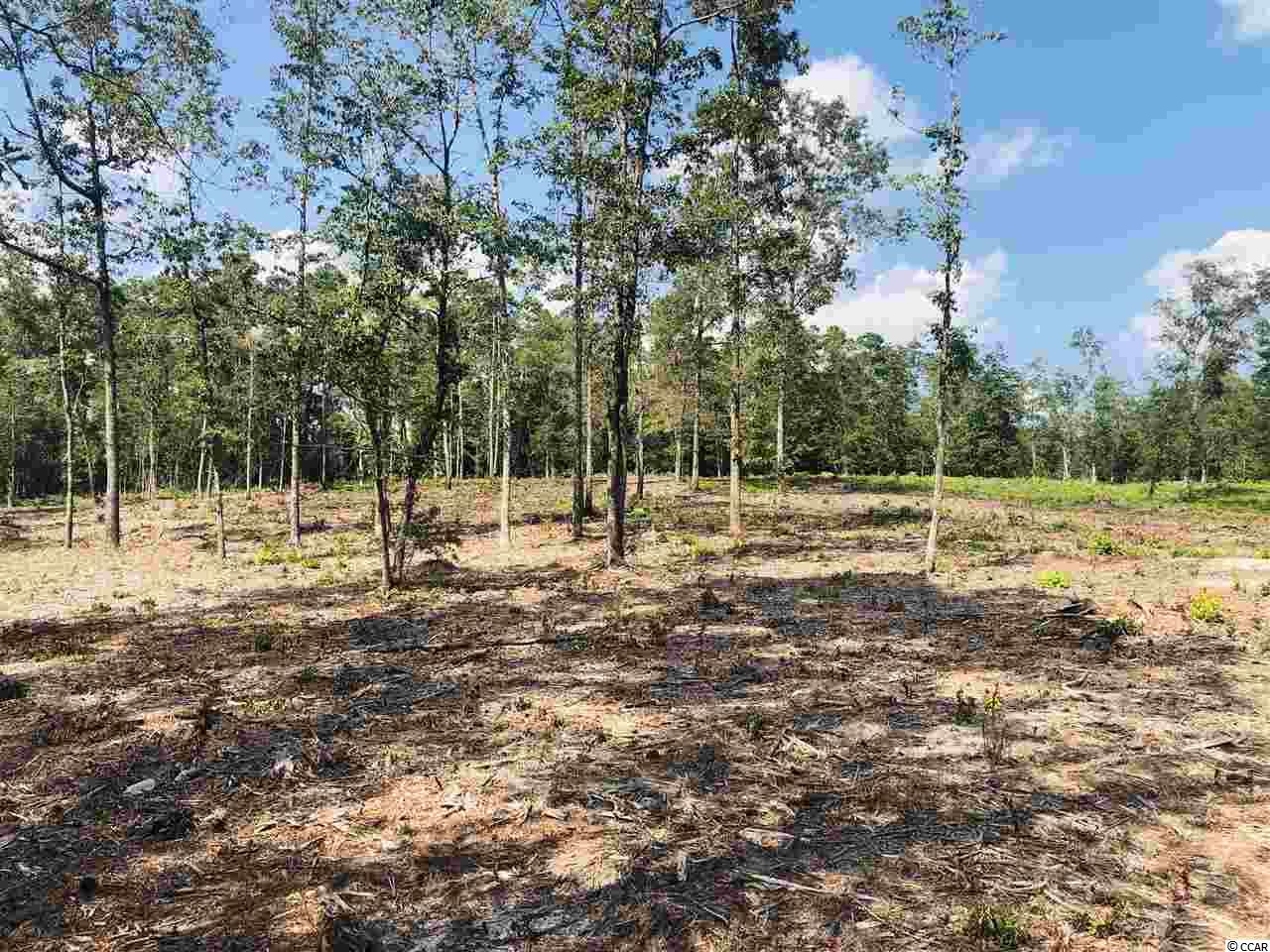 19 Loris Sc 29569 Loris, SC 29569 - Photo 10 of 27 Gallery Image 10