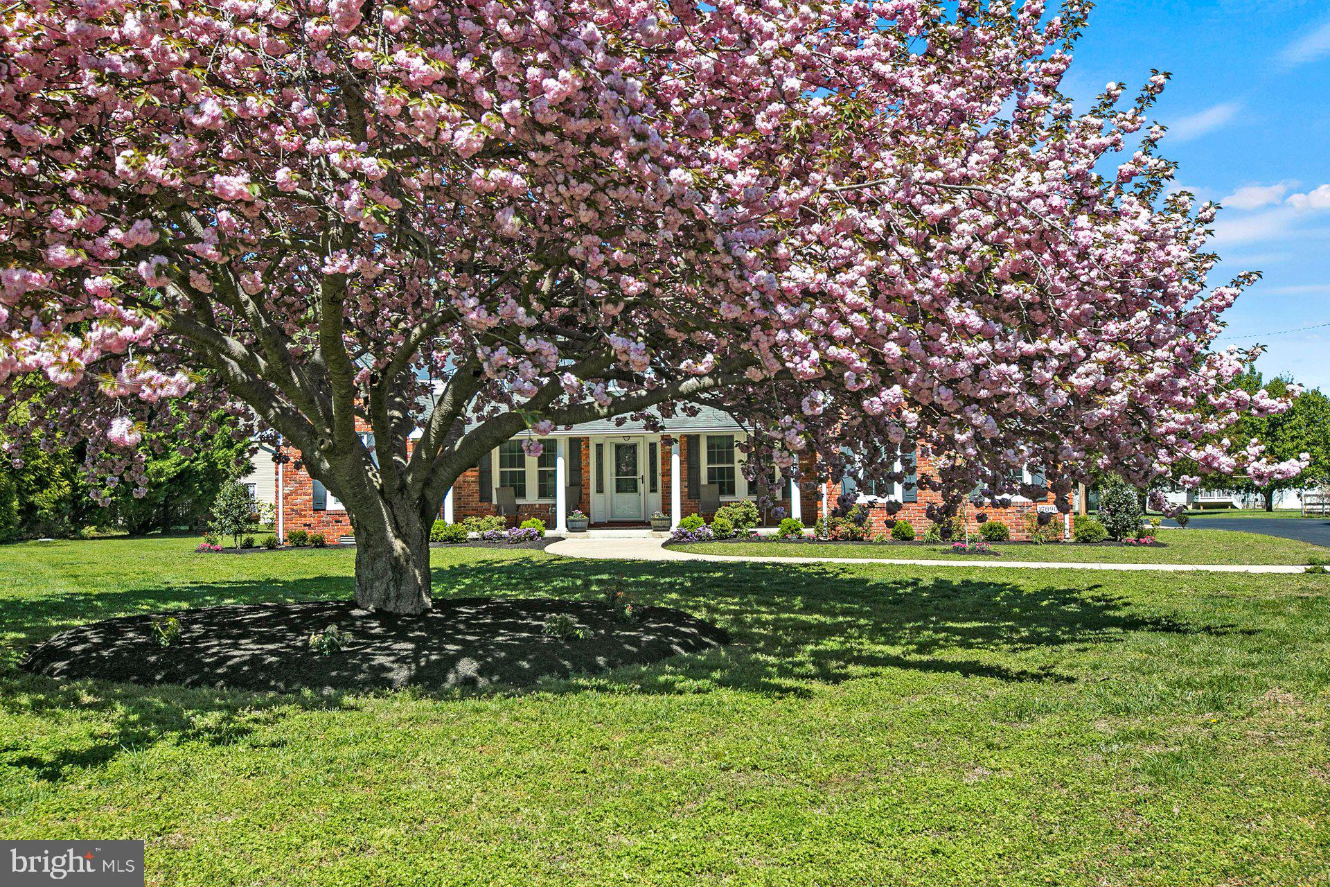 17890 Piney Point Road Piney Point, MD 20690 - Photo 3 of 47