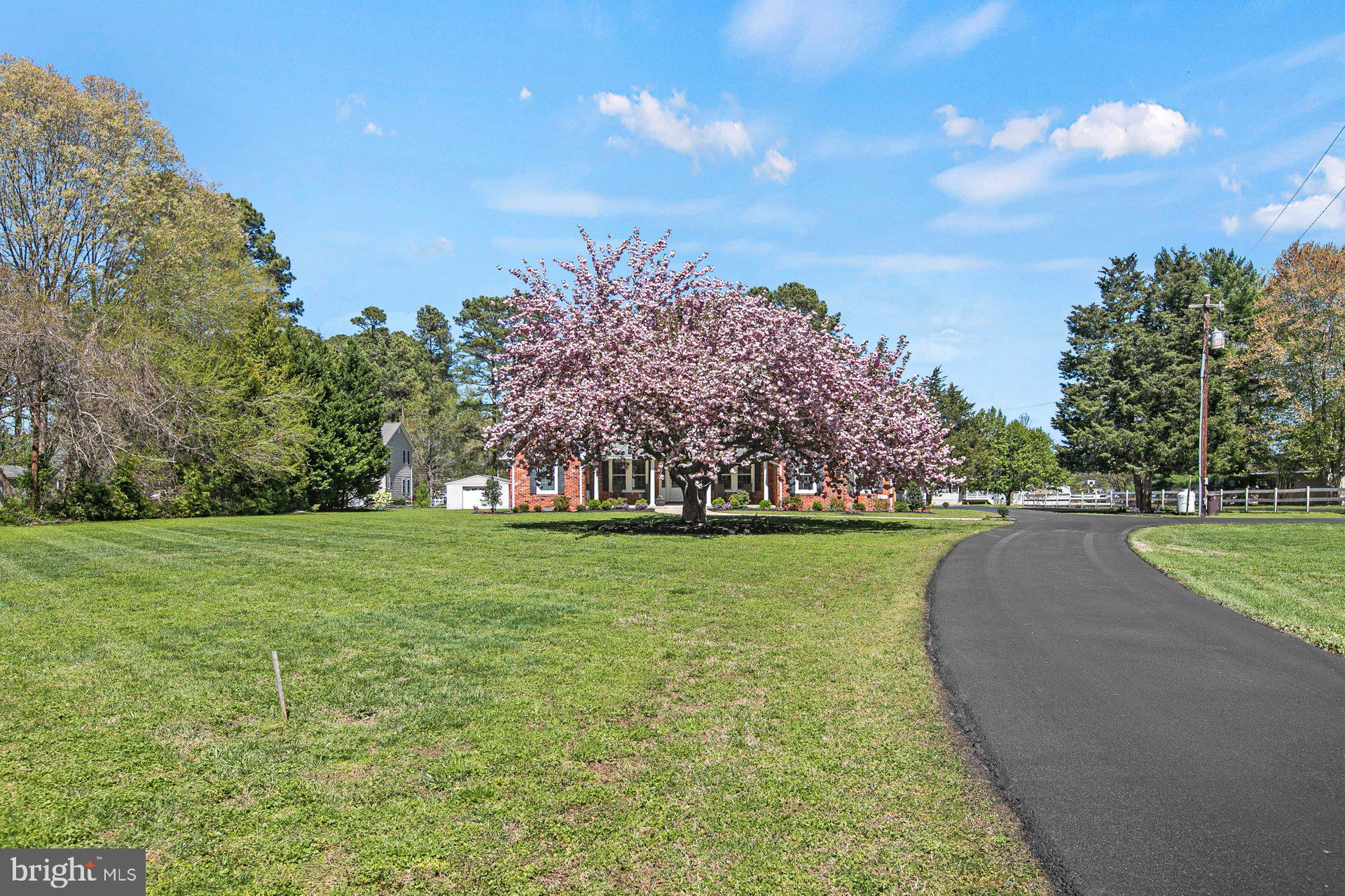 17890 Piney Point Road Piney Point, MD 20690 - Photo 5 of 47
