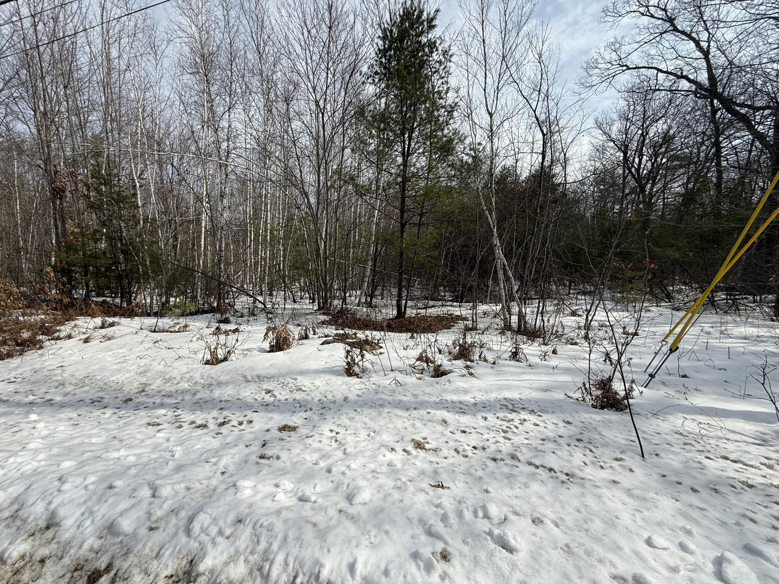 M10-l2-3b Town Farm Road Shapleigh, ME 04076 - Photo 2 of 7 IMG_6033 (002)