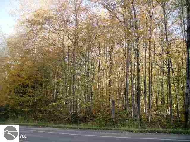 0 Southwest Ingersoll Road Fife Lake, MI 49633 - Photo 12 of 13 1721042-11.JPG