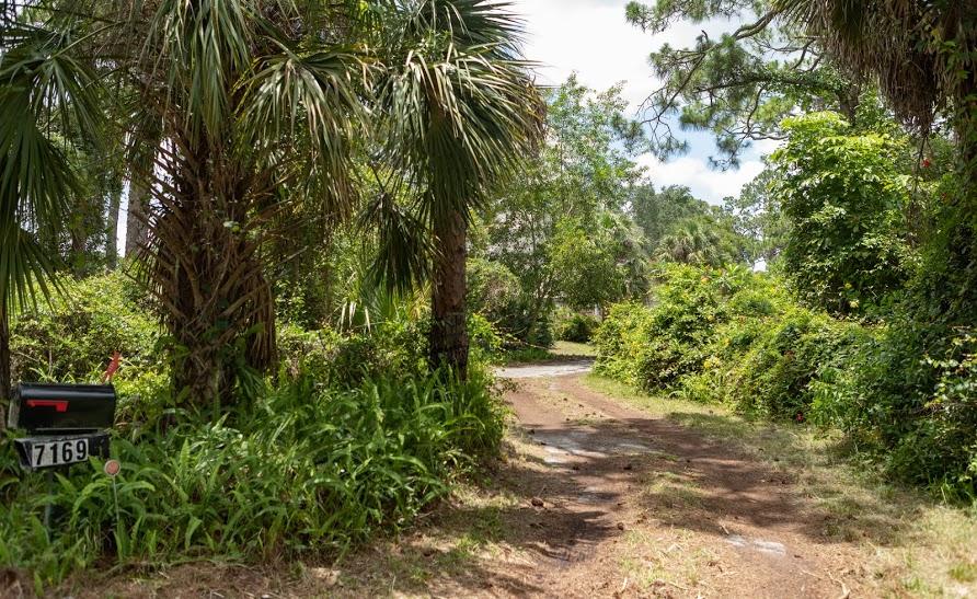 7169 Southeast Rivers Edge Street Jupiter, FL 33458 - Photo 5 of 39 a view of a yard with plants and large trees