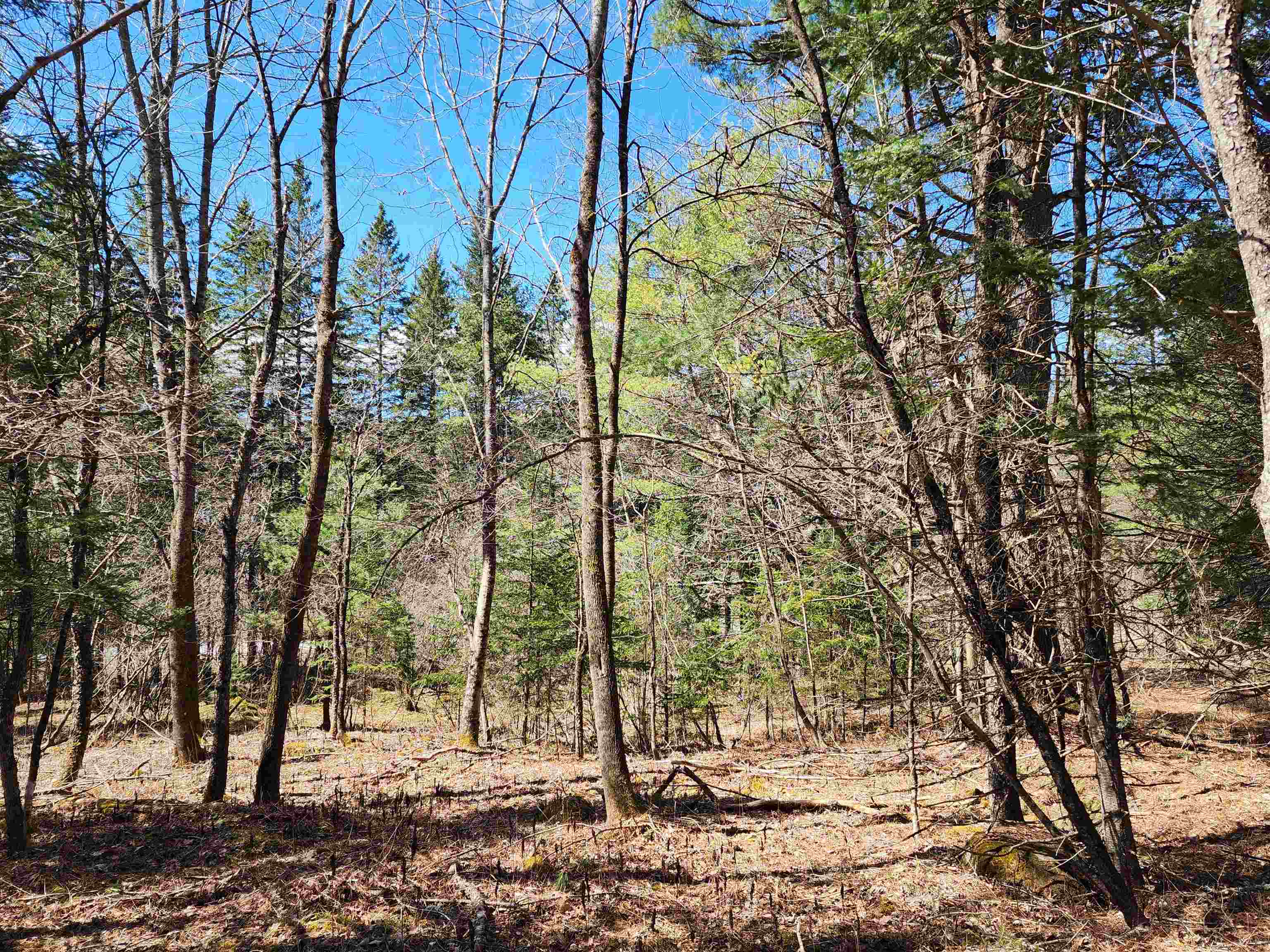 0 West Bath Road, Unit LOT #33 Bath, NH 03740 - Photo 10 of 26 Gallery Image 10