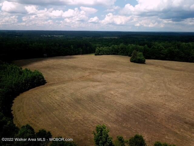 1384 Benny Short Road Jasper, AL 35504 - Photo 3 of 9 Gallery Image 3