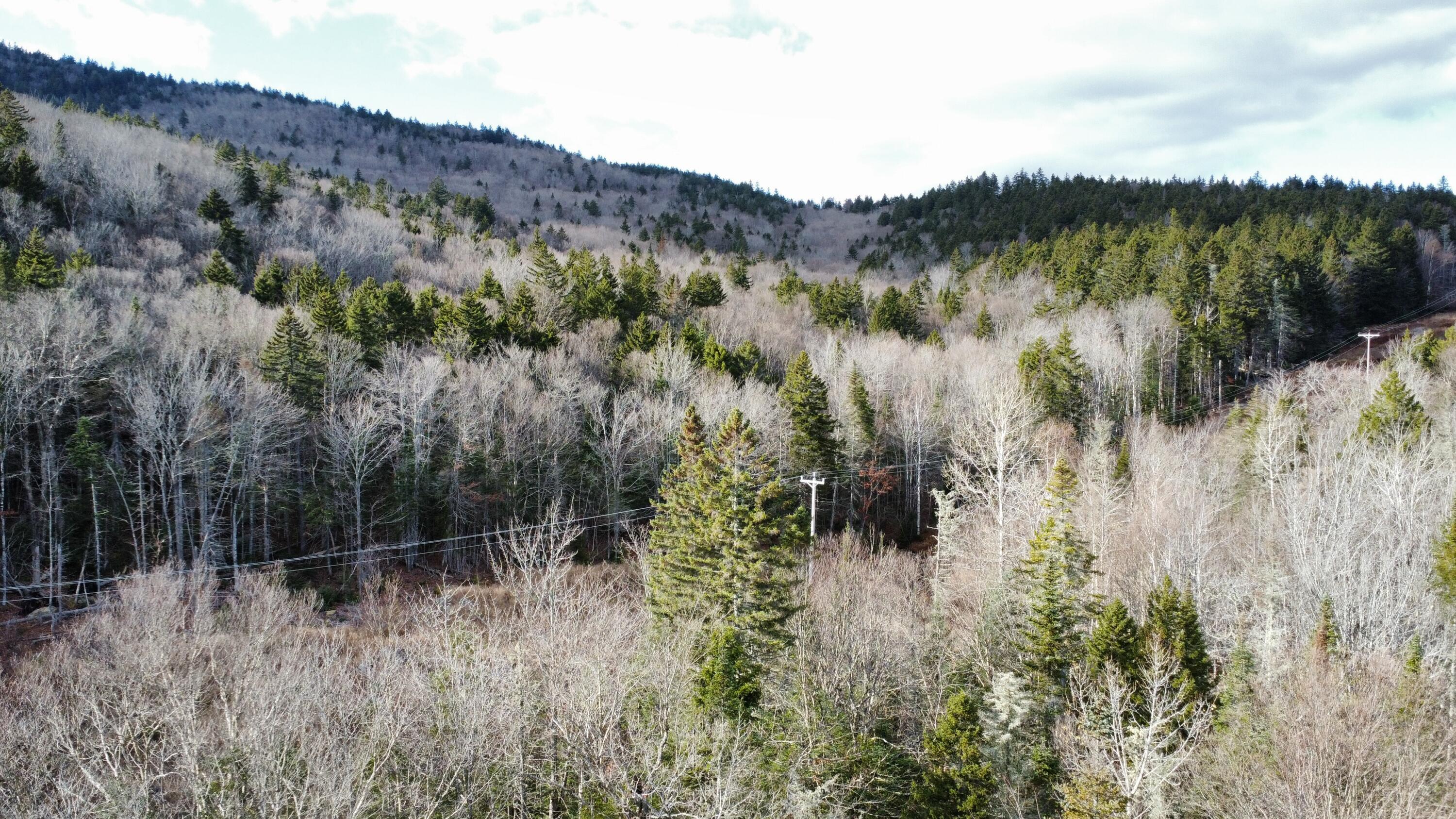 16 Lots 2 3 Edelheid Road Sandy River Plt, ME 04970 - Photo 2 of 6 Back corner of lot
