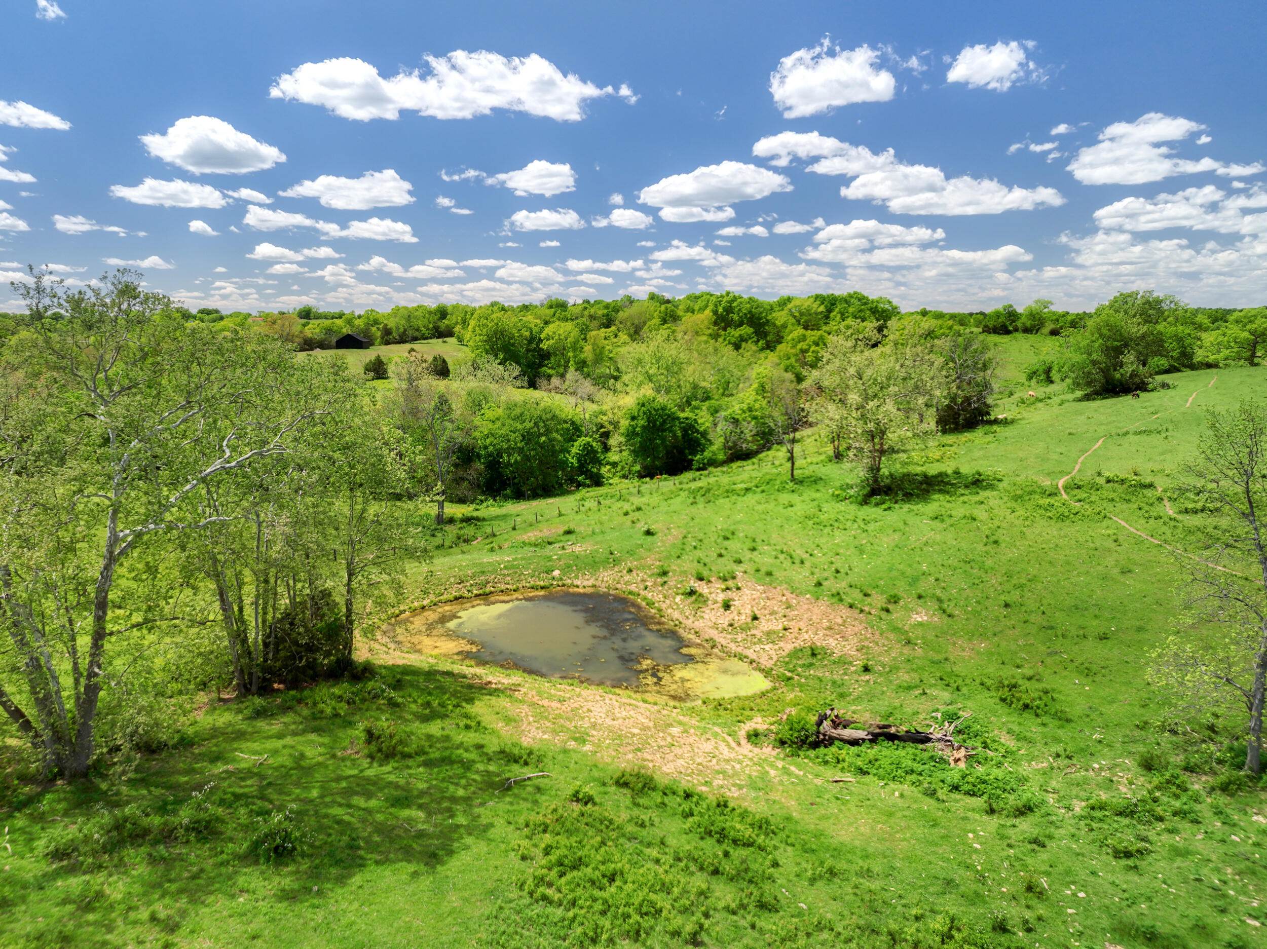 3560 Renaker-Berry Road Berry, KY 41003 - Photo 16 of 17 dji_0863