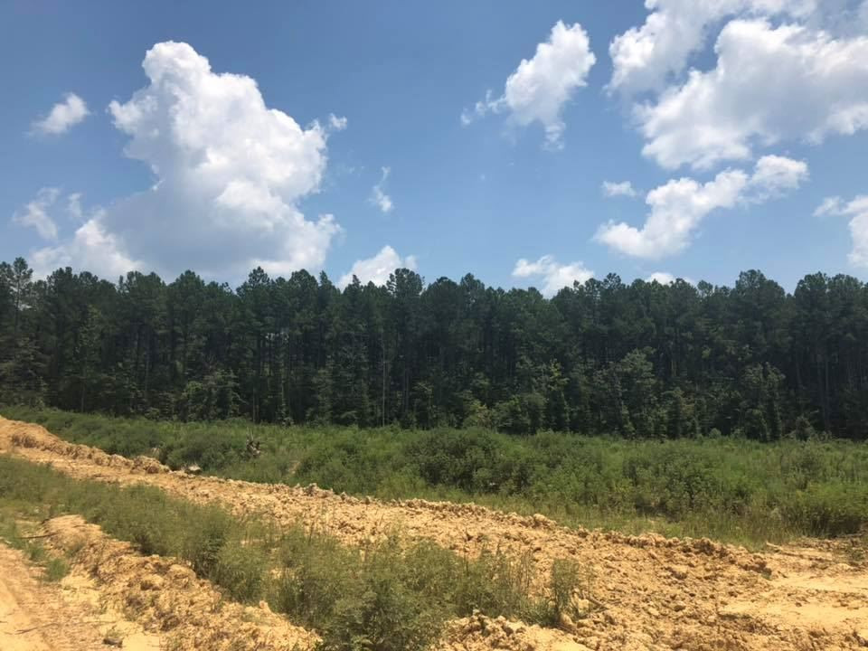 Lot 1 Stump Ridge Road, Unit 1 Brandon, MS 39047 - Photo 6 of 6 Photo 6