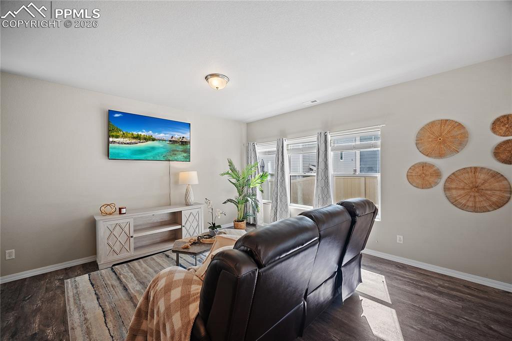 4295 Samaritan Loop Colorado Springs, CO 80916 - Photo 7 of 50 a view of a livingroom with furniture and a potted plant