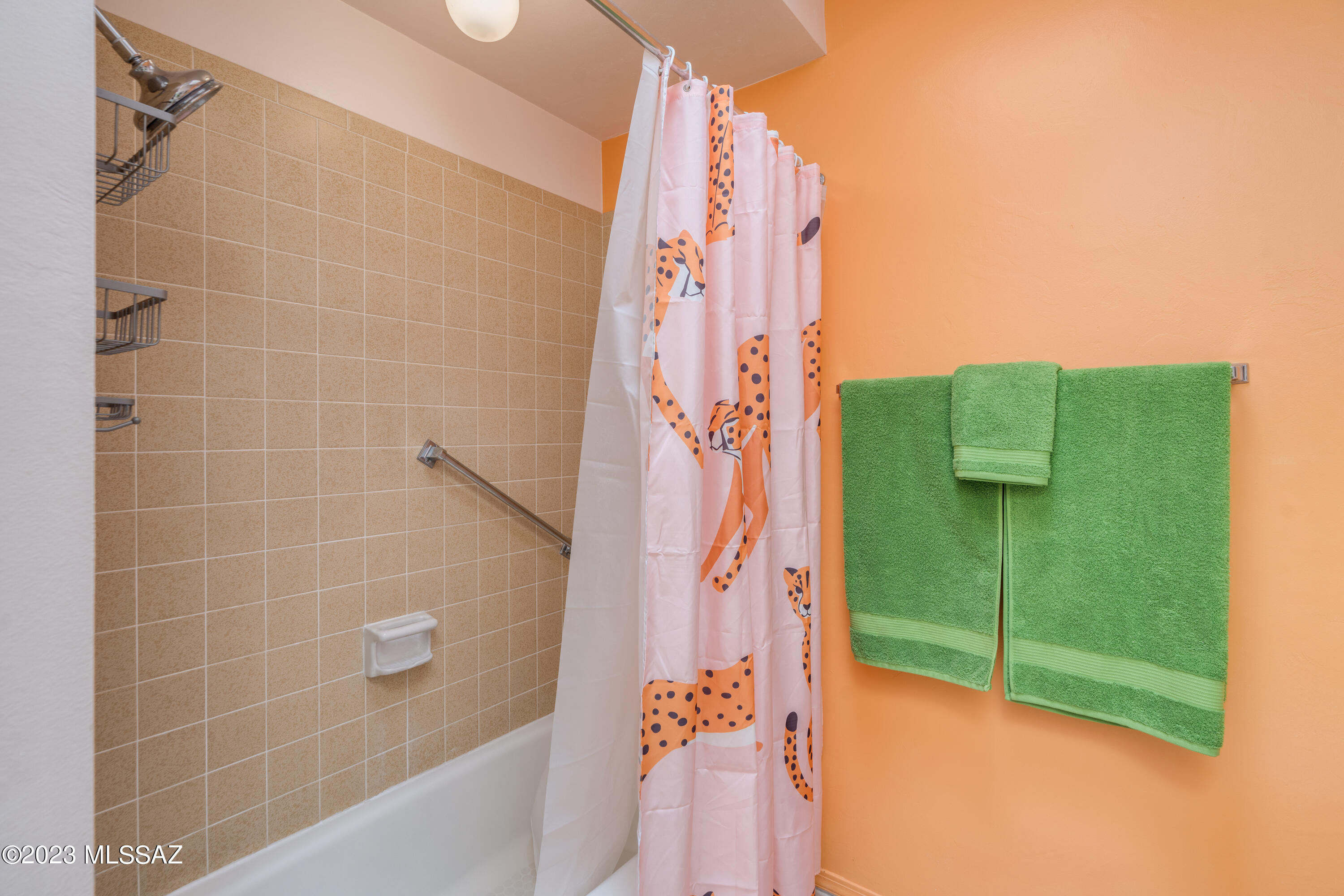 6100 North Oracle Road, Unit 9 Tucson, AZ 85704 - Photo 42 of 50 Gallery Image 42