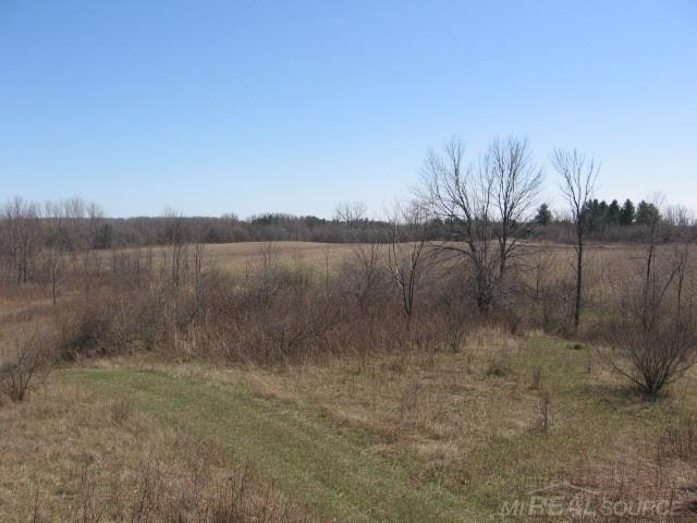 Vl Townsend Applegate, MI 48401 - Photo 4 of 31