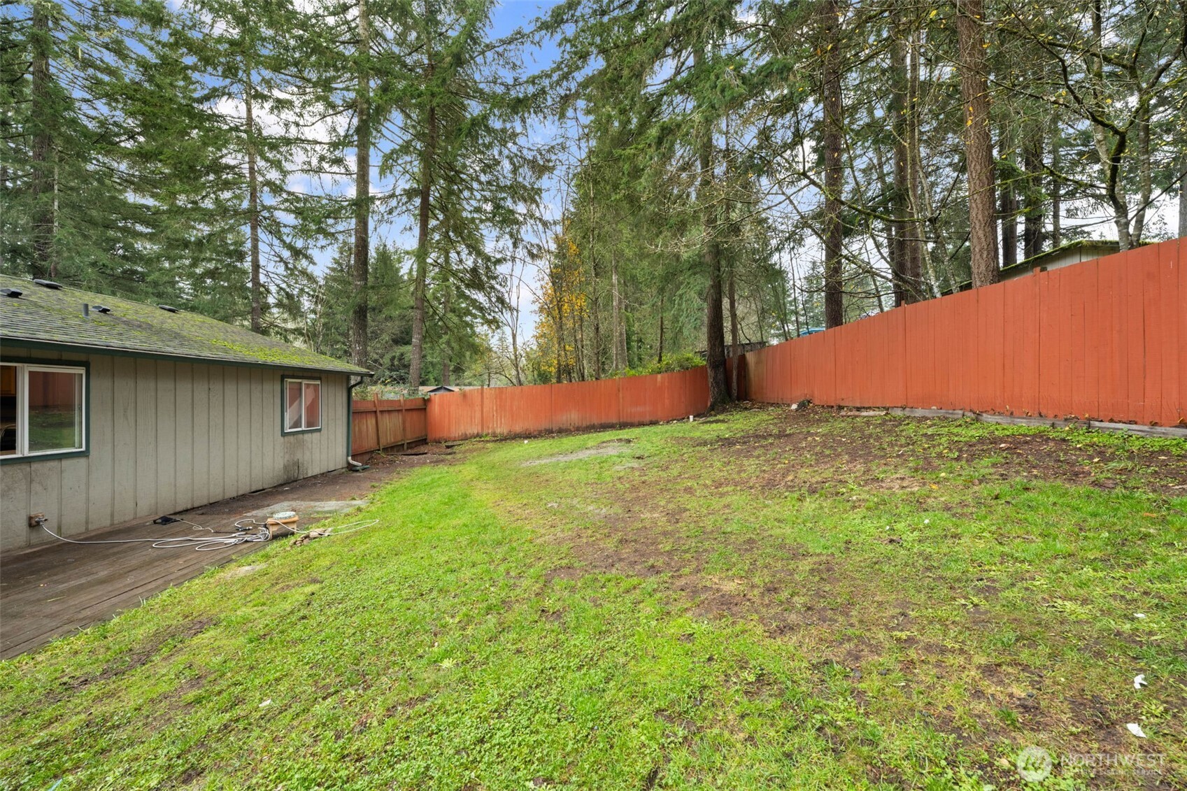 71 East Dunvegan Road Shelton, WA 98584 - Photo 15 of 21 a view of backyard with large trees