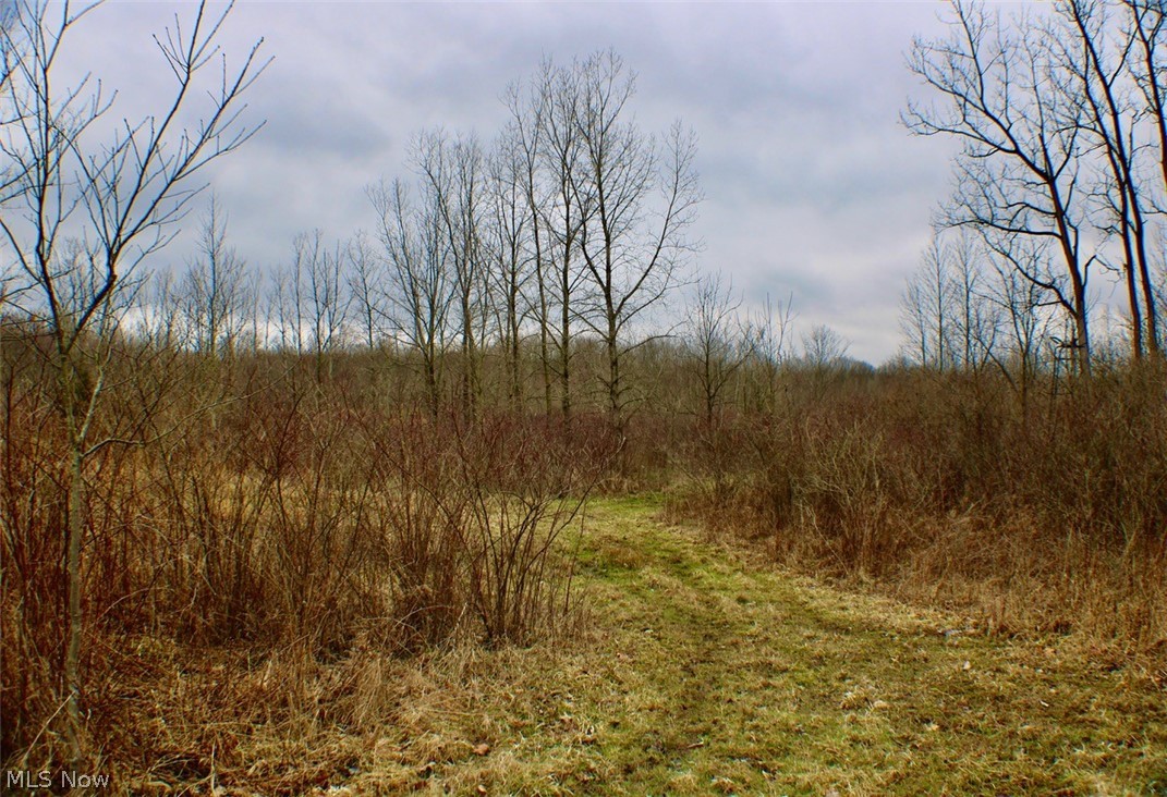 3061 Scranton Road New London, OH 44851 - Photo 26 of 26
