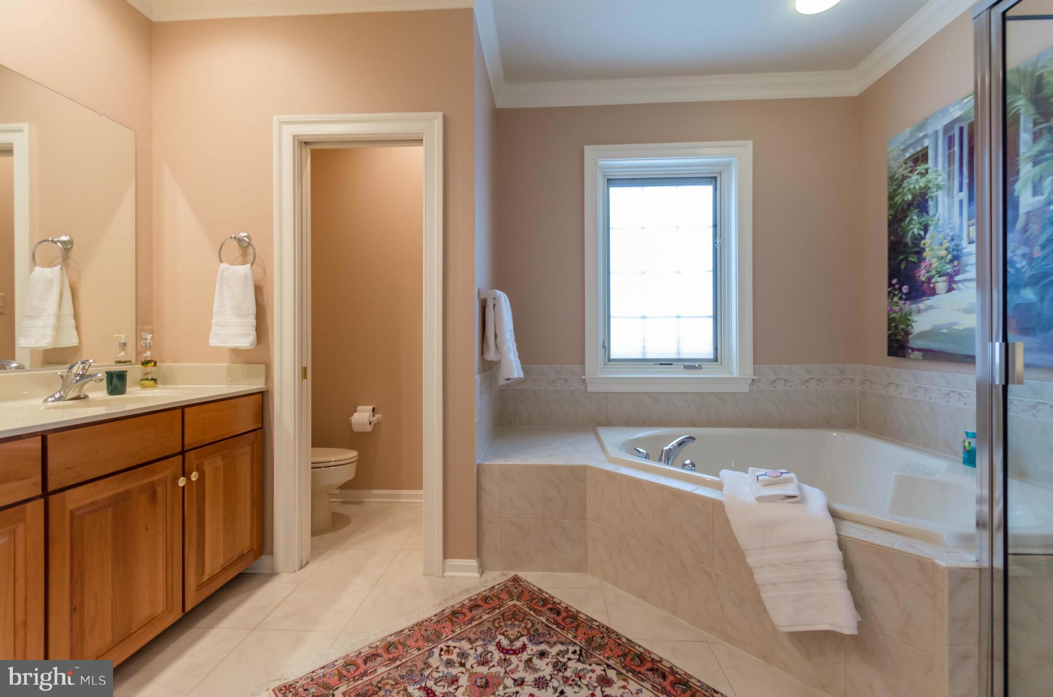 507 Hawkshead Road Lutherville-Timonium, MD 21093 - Photo 16 of 30 Bath (Master)