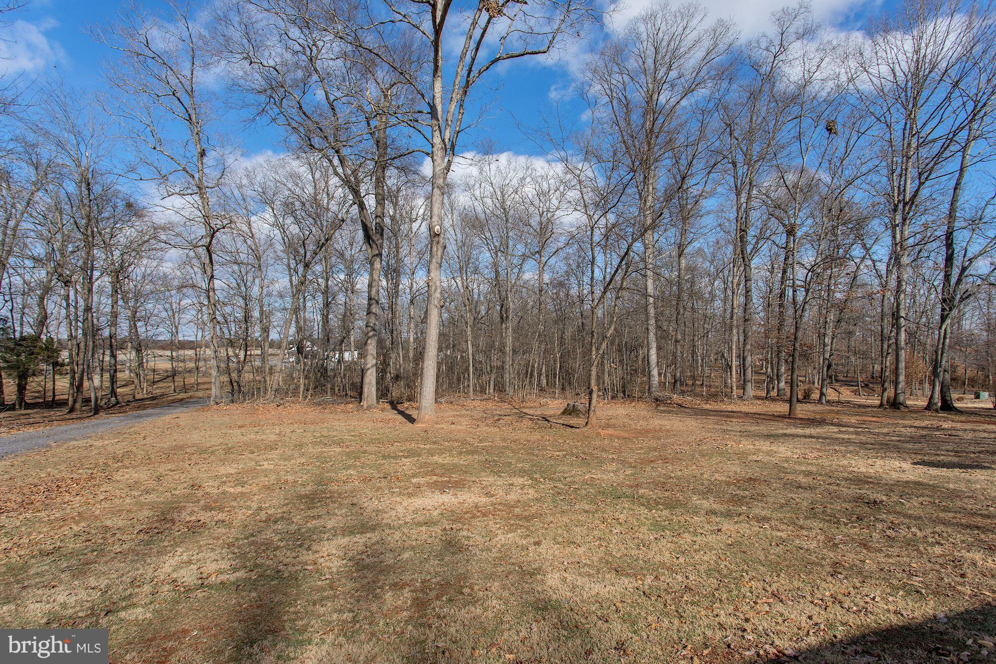 2393 Courthouse Road Catlett, VA 20119 - Photo 3 of 29 Exterior (Front)