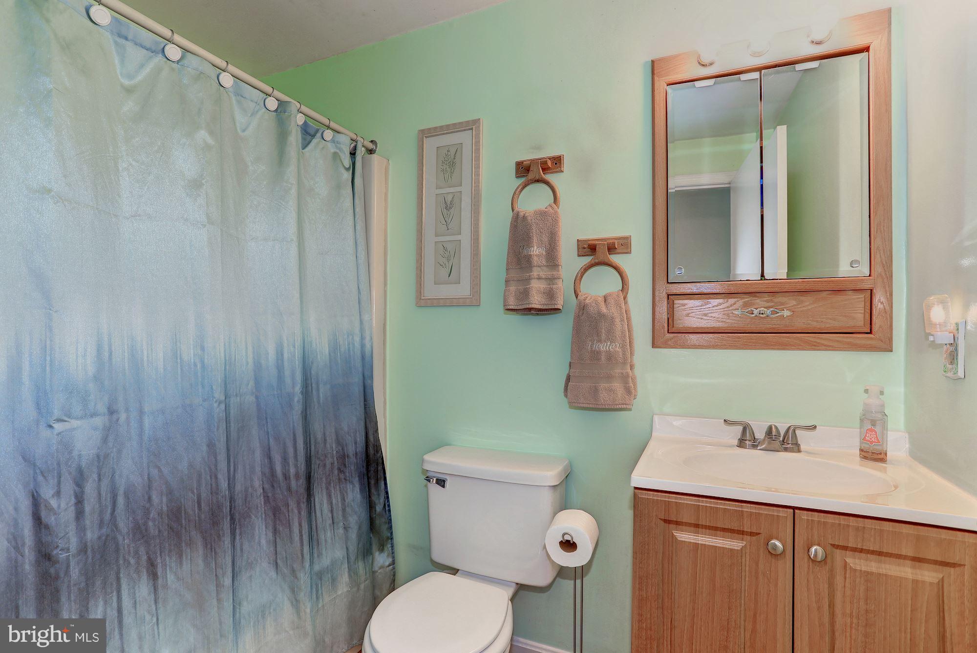 2393 Courthouse Road Catlett, VA 20119 - Photo 22 of 29 Bath