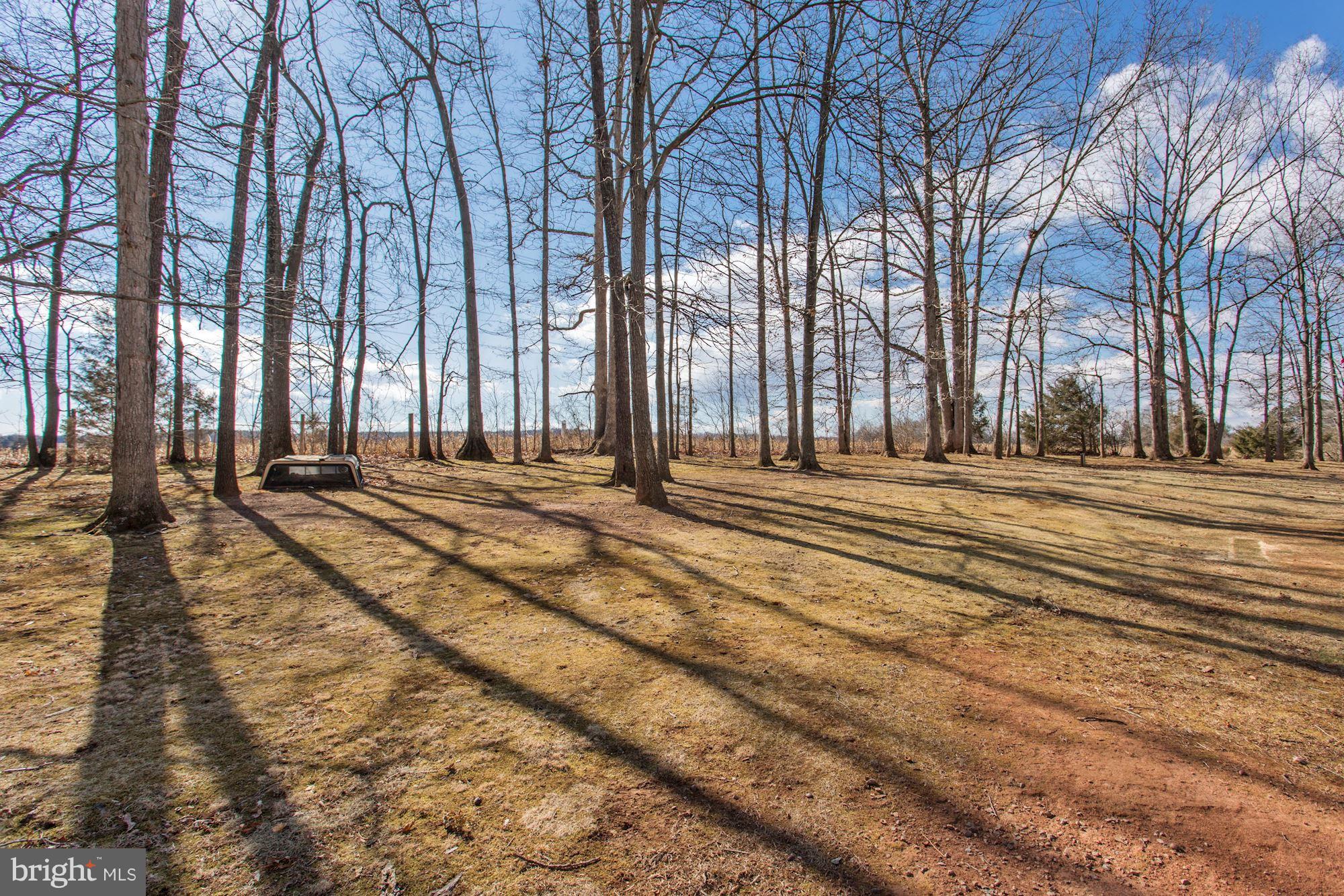 2393 Courthouse Road Catlett, VA 20119 - Photo 26 of 29 View