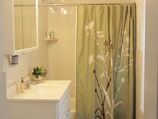 139 Linden Street, Unit 2 Wellesley, MA 02482 - Photo 6 of 9 a bathroom with a sink and a mirror