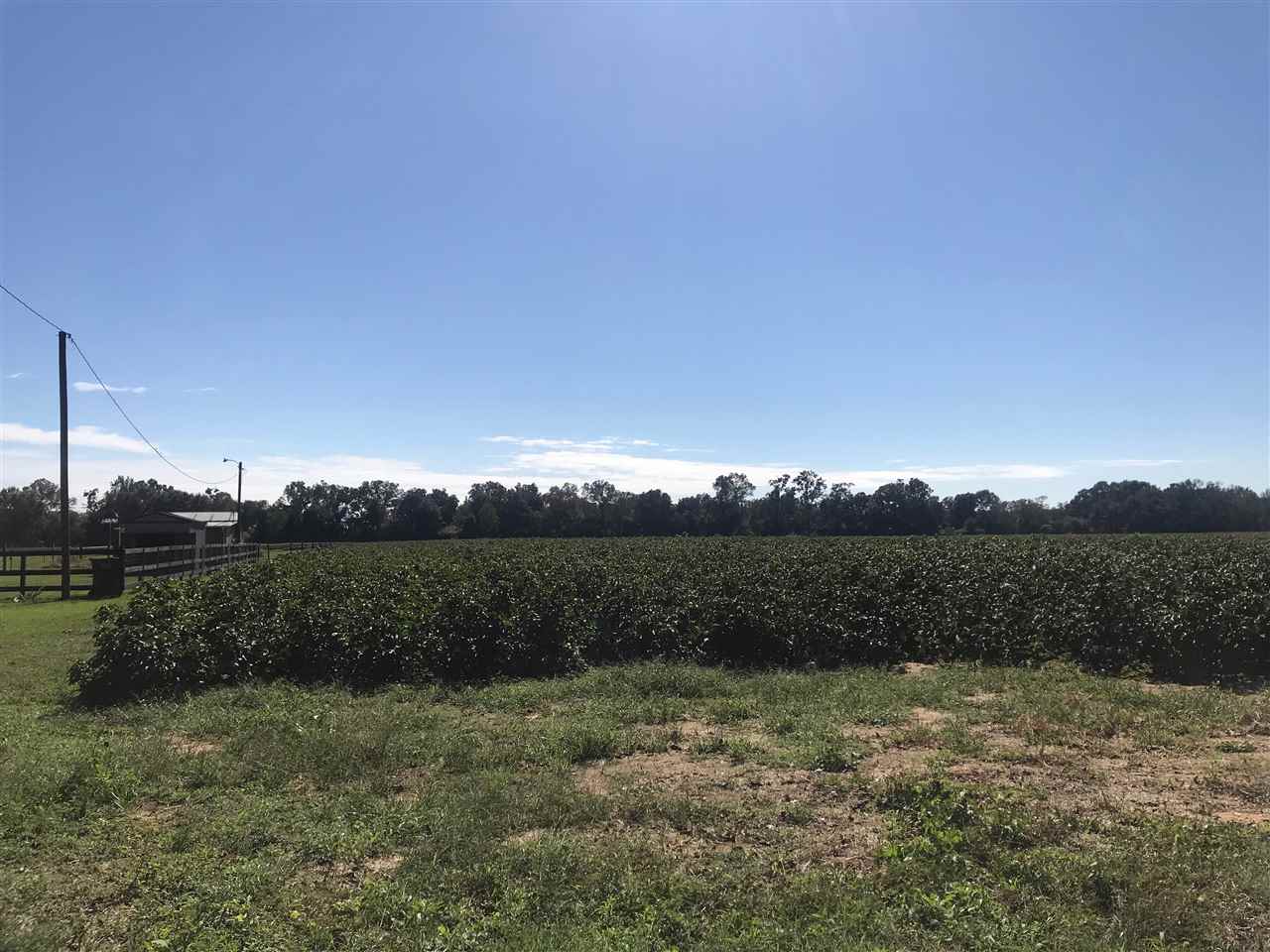 0 Rebel Road Daphne, AL 36526 - Photo 3 of 6