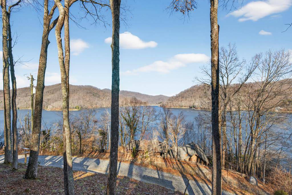 124 Mount Mariah Road Topton, NC 28781 - Photo 25 of 74