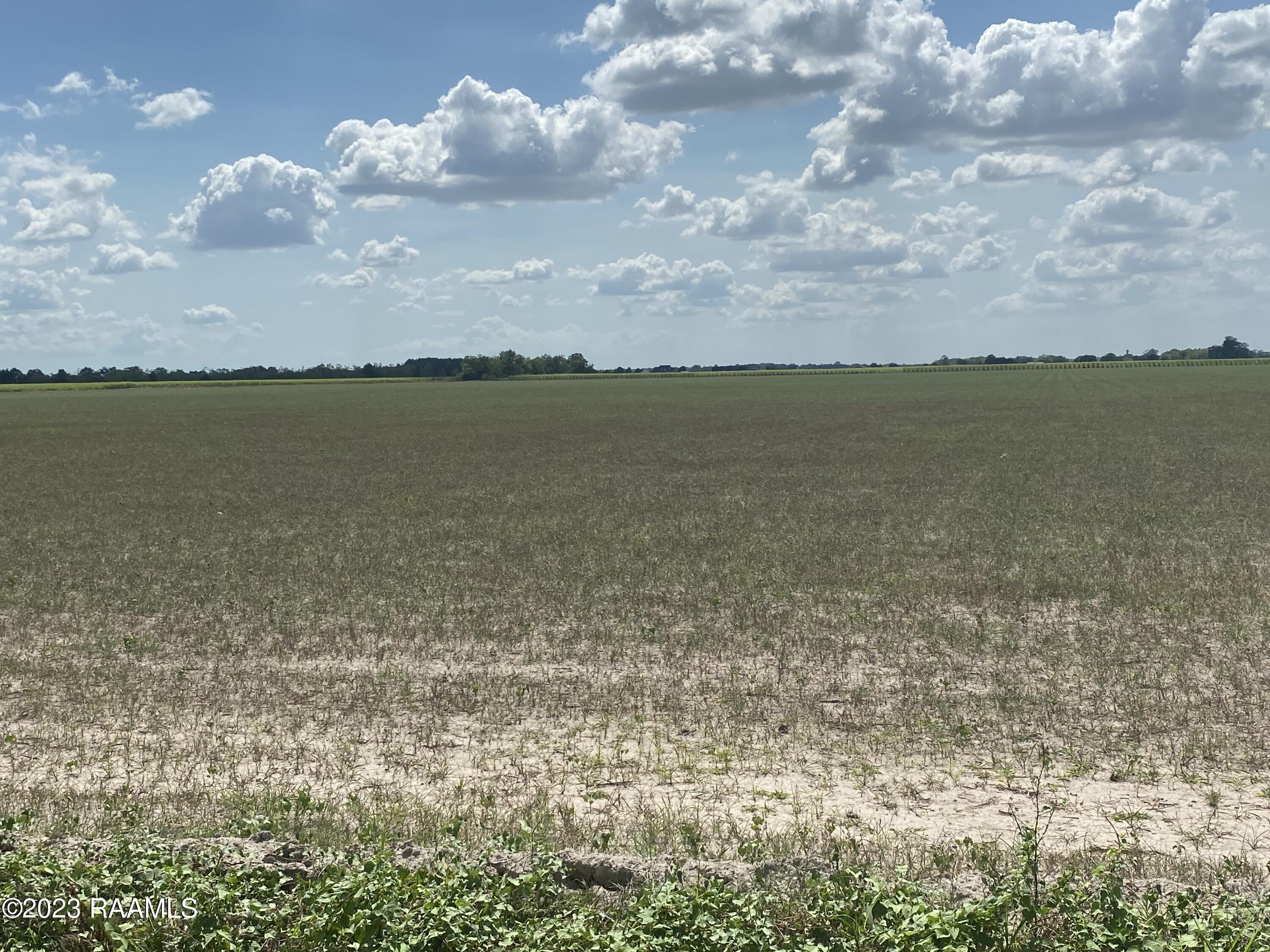 Tbd South Richfield Road, Unit LOT 3 Rayne, LA 70578 - Photo 1 of 3 Gallery Image 1