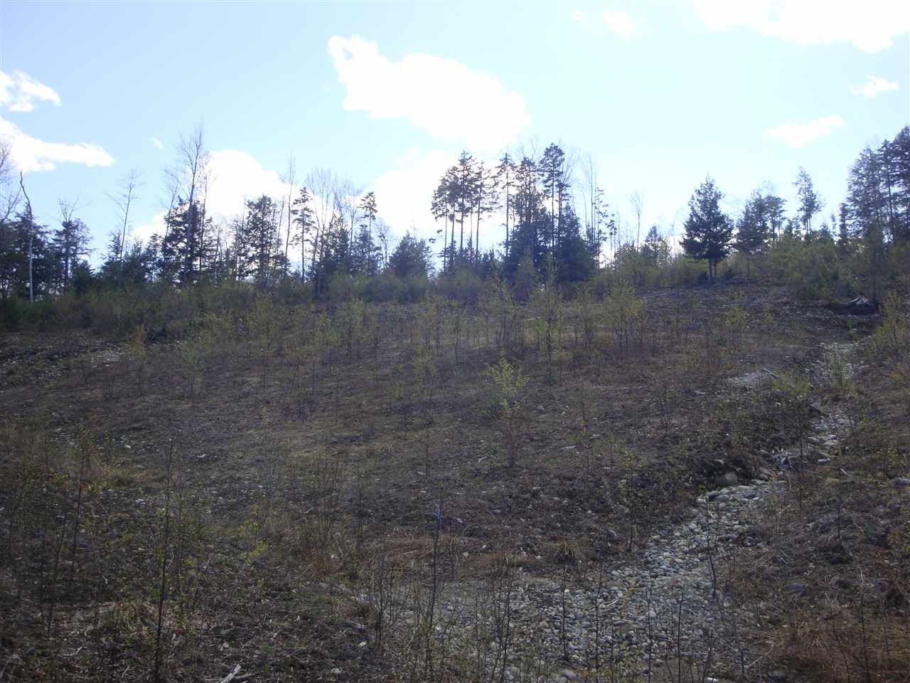 Lot 8 Old Fields Road Hebron, NH 03241 - Photo 3 of 6