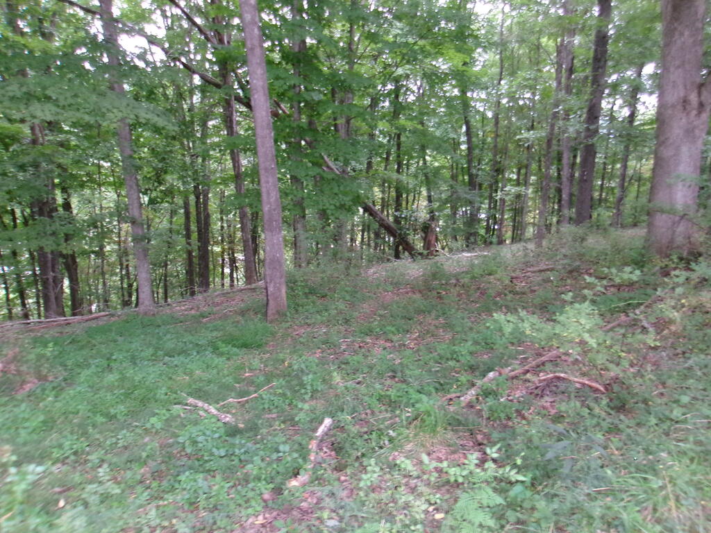 Tbd Little Acres Road North Tazewell, VA 24630 - Photo 15 of 15 Gallery Image 15