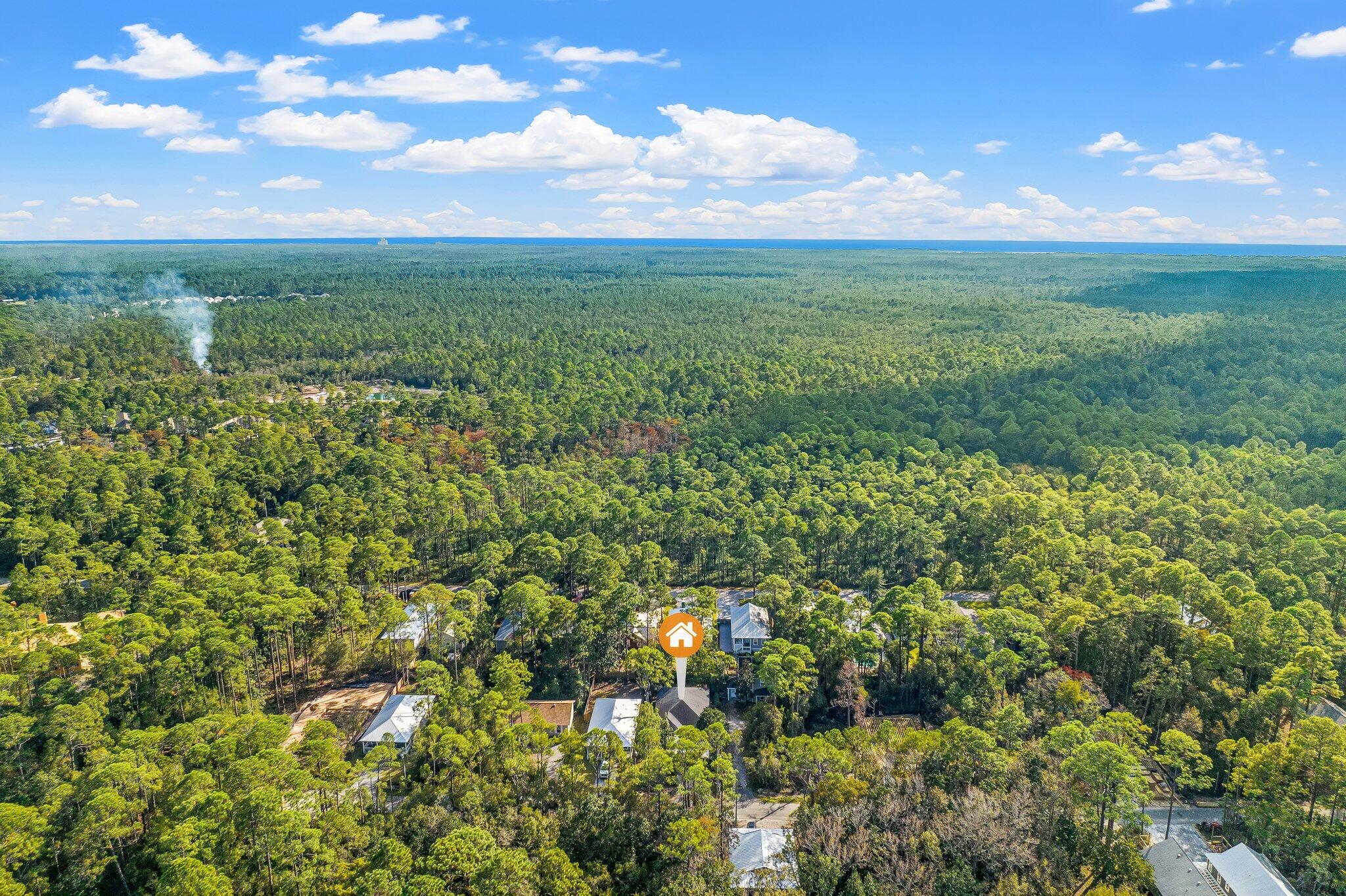 124 East Wild Blueberry Way Santa Rosa Beach, FL 32459 - Photo 38 of 38 a view of a yard with a house in the background